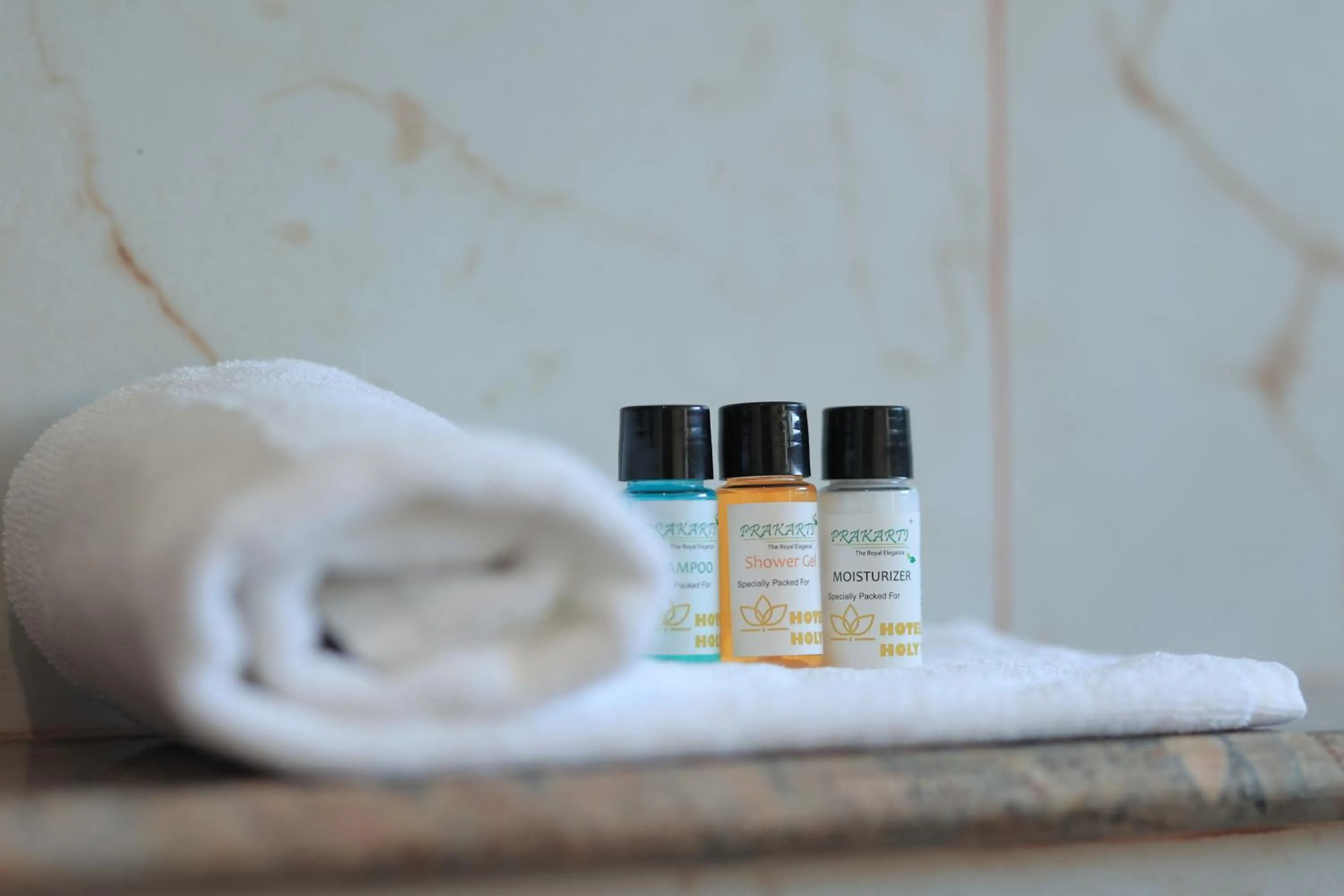 Bathroom in Hotel Holy Vivasa