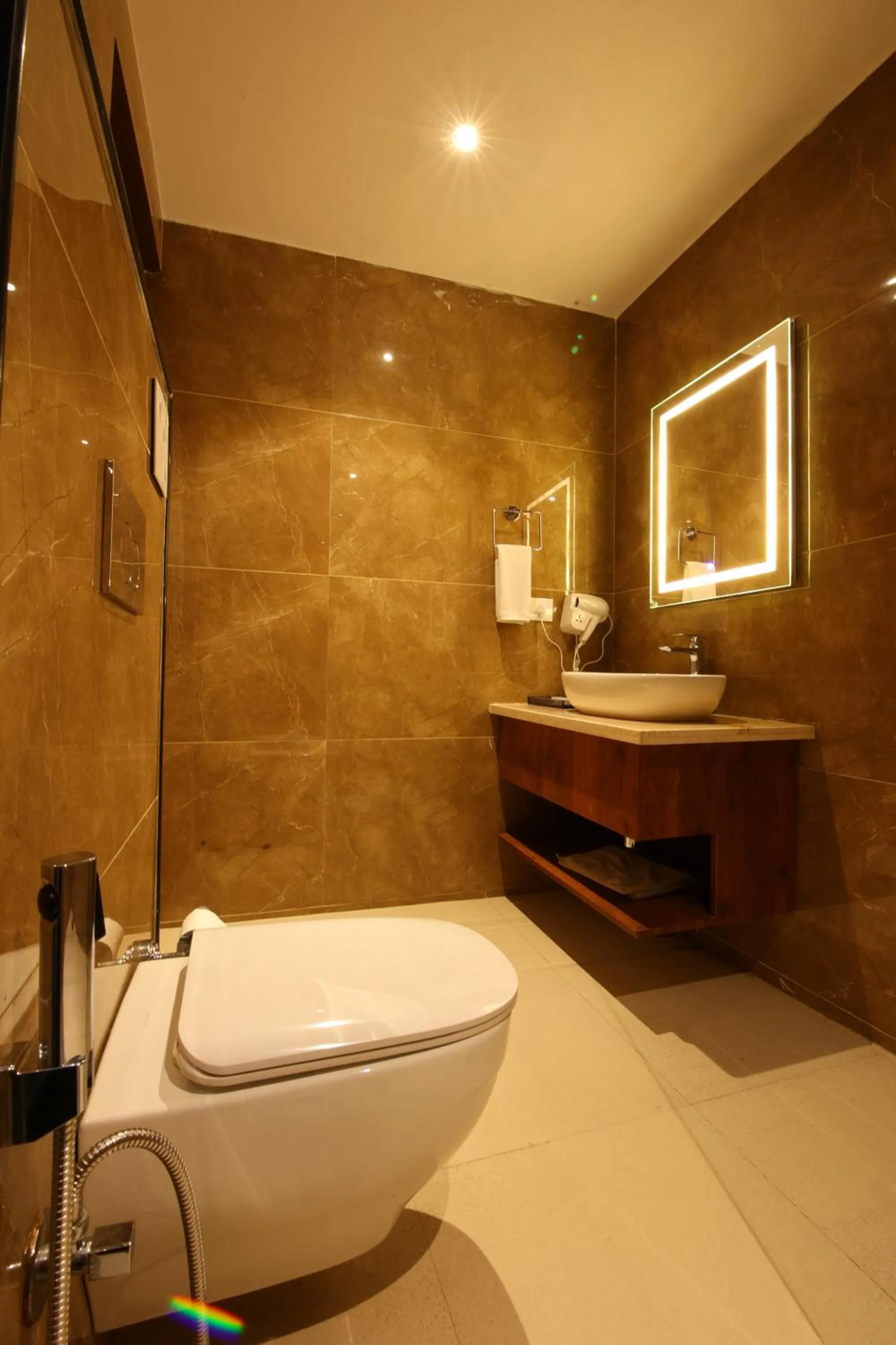 Shower in Hotel Holy Vivasa