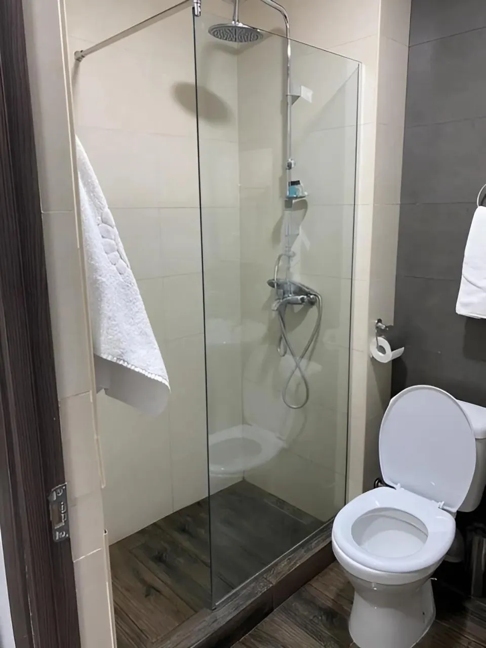 Toilet in The Friends