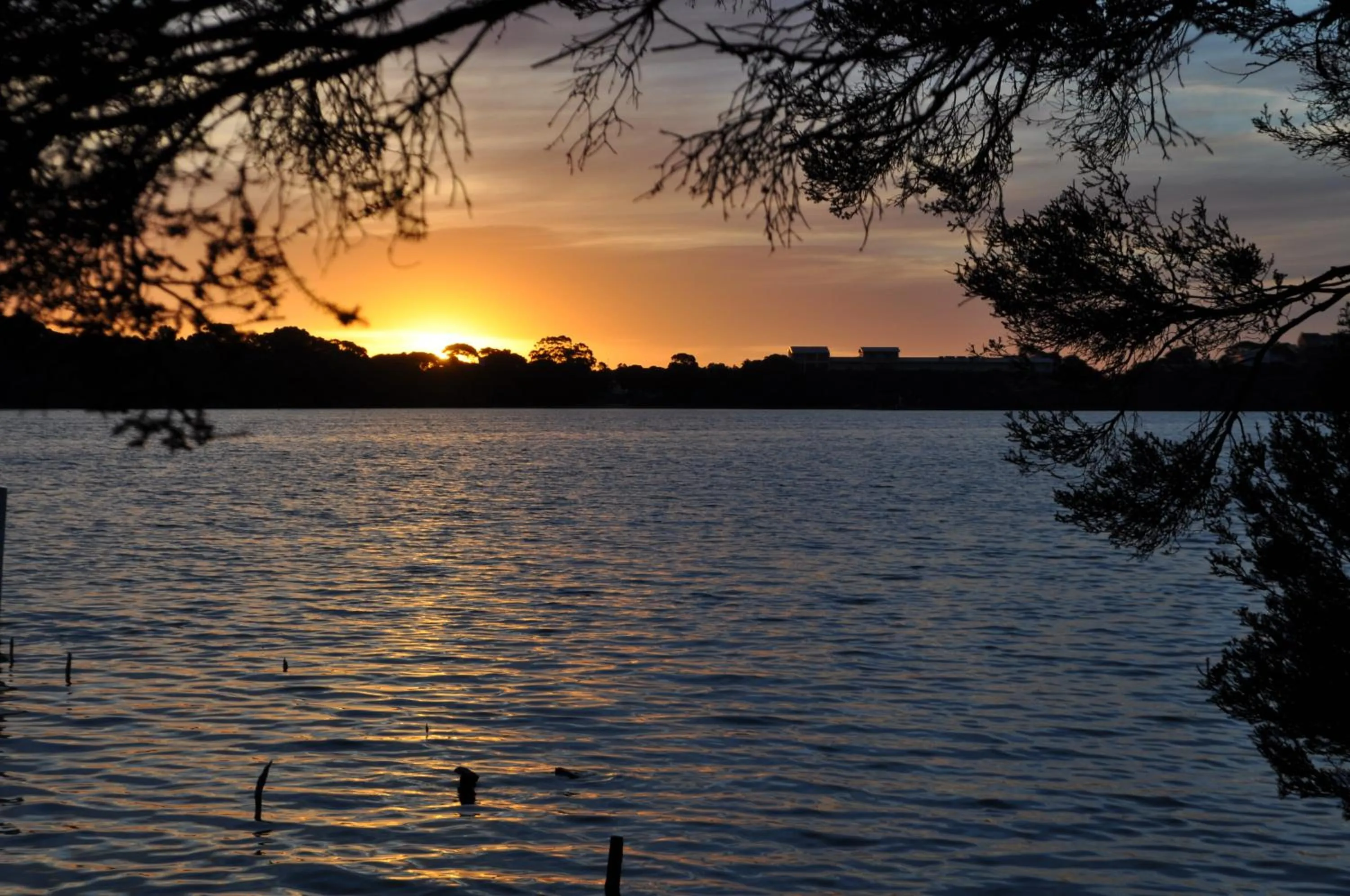 Area and facilities in Robe Holiday Park