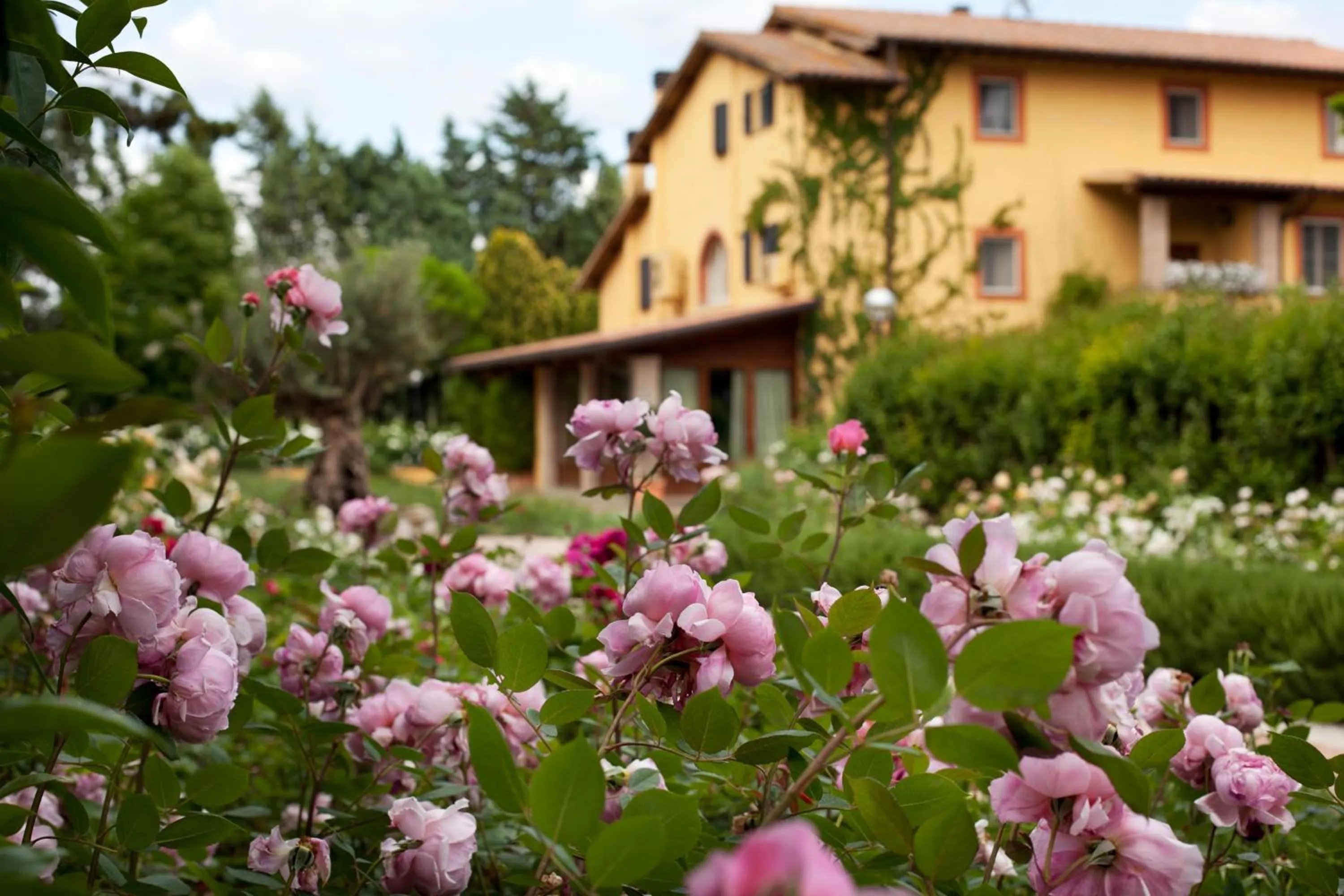 Facade/entrance in Resort e Spa San Crispino