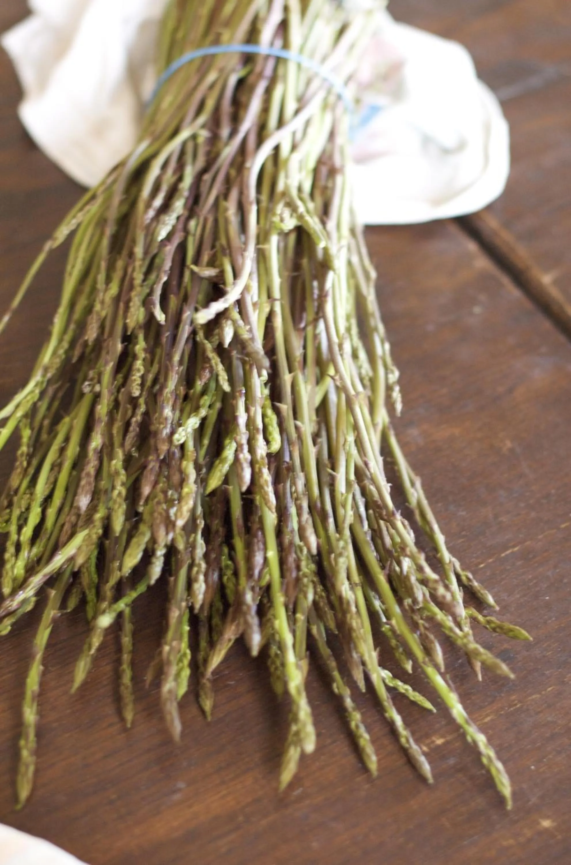 Restaurant/places to eat in Resort e Spa San Crispino