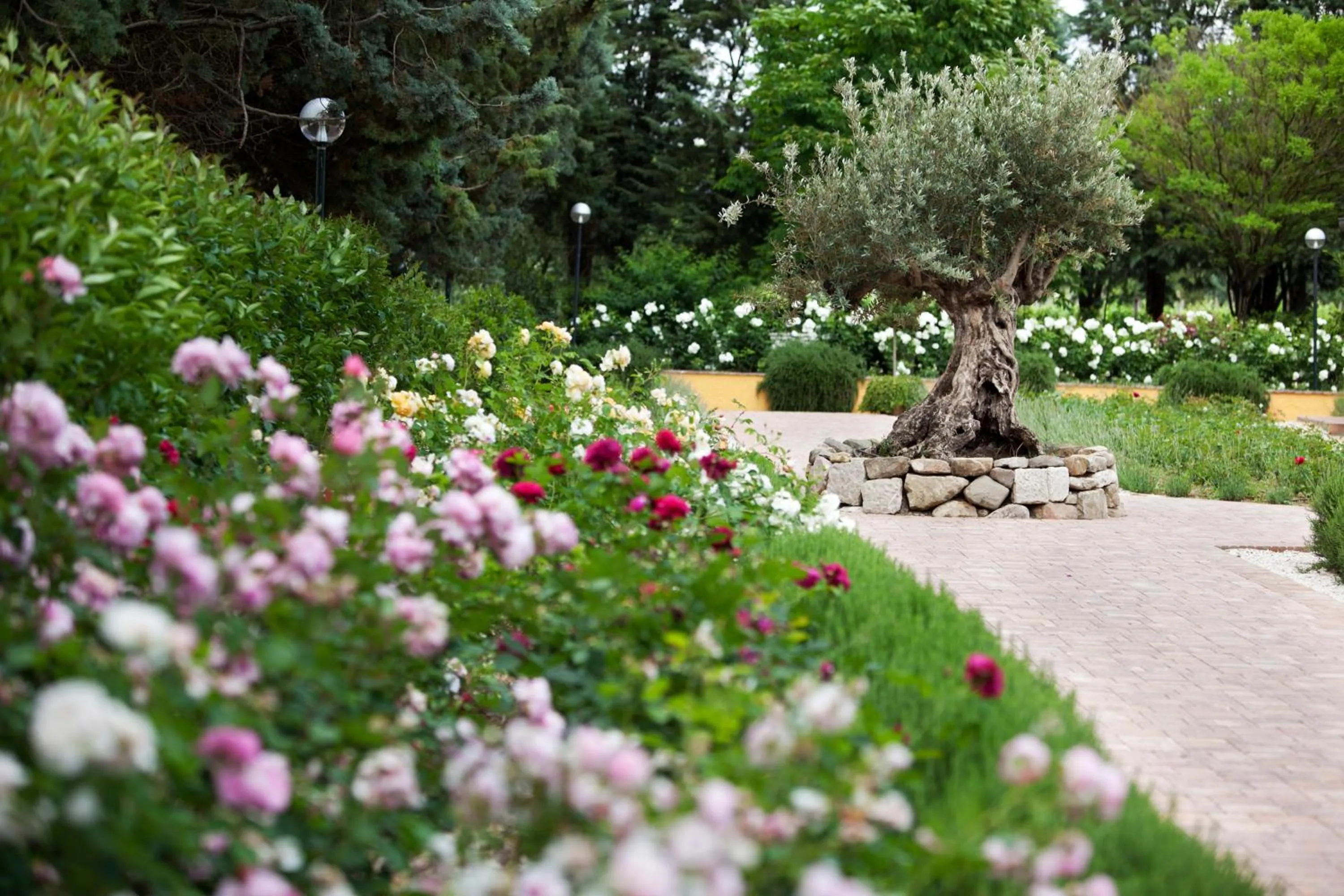Garden in Resort e Spa San Crispino