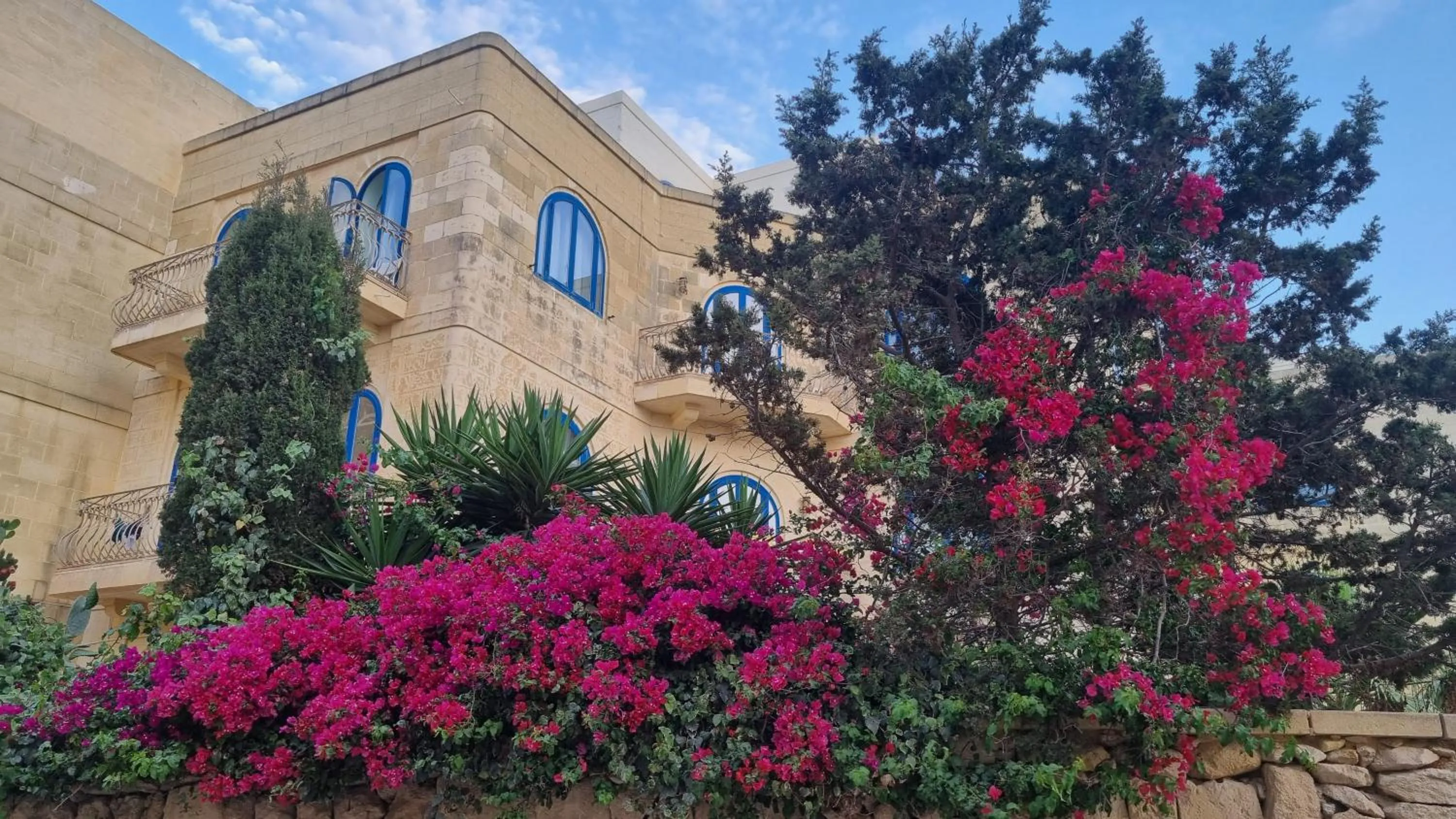 Garden view in Villa Serenity B&B