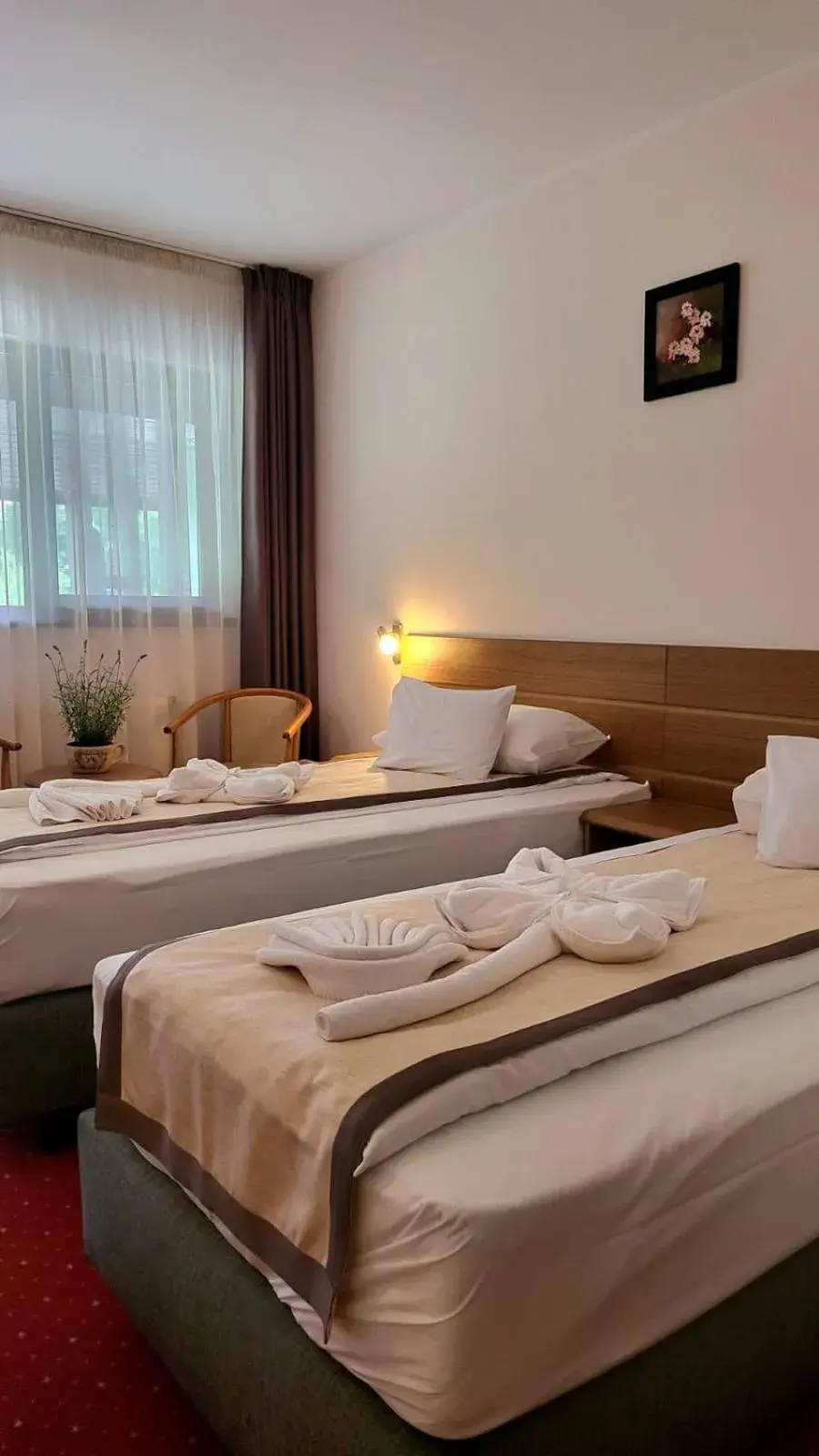 Standard Twin Room in Hotel Carpați Standard Twin Room in Hotel Carpați