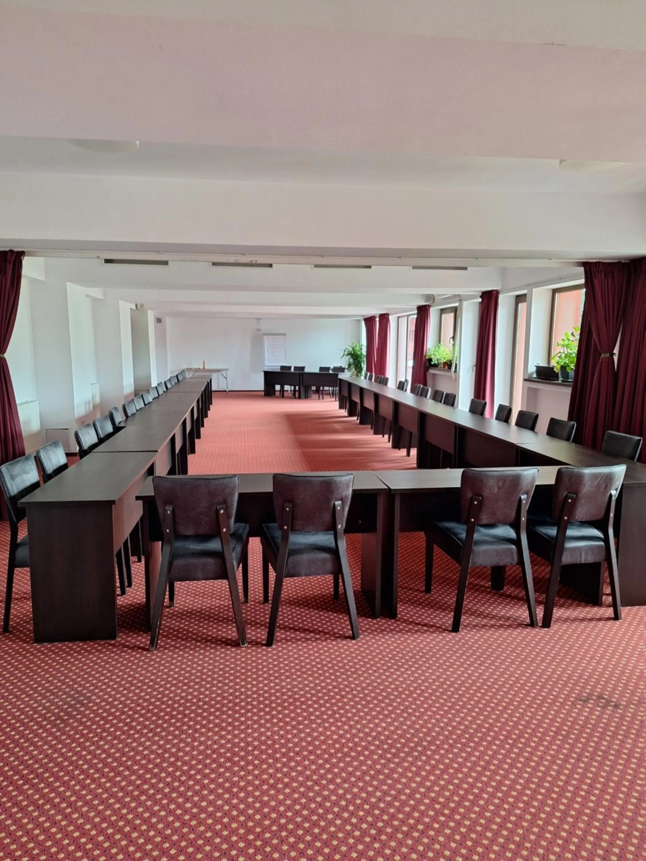 Business facilities in Hotel Carpați