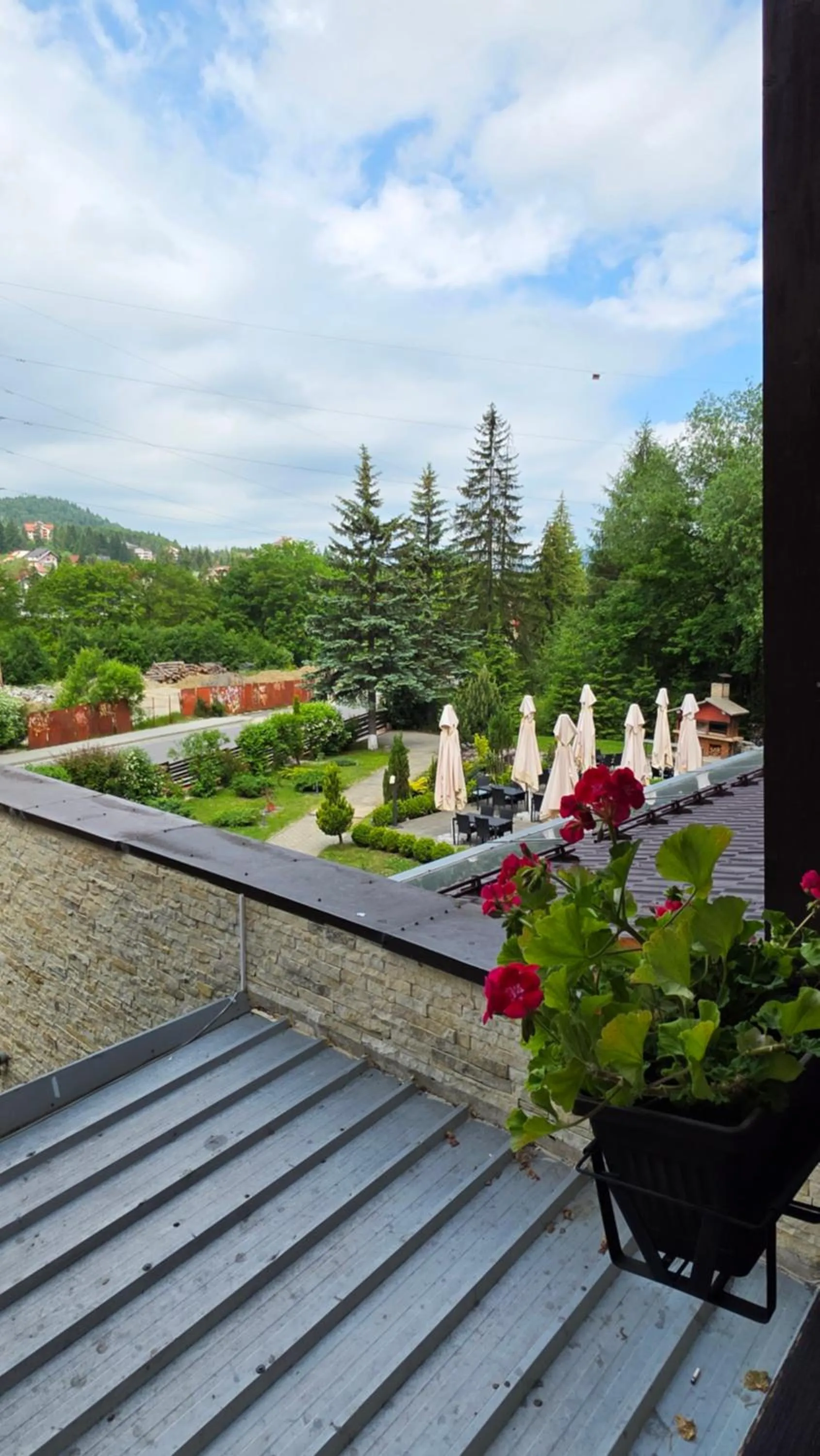 Property building in Hotel Carpați
