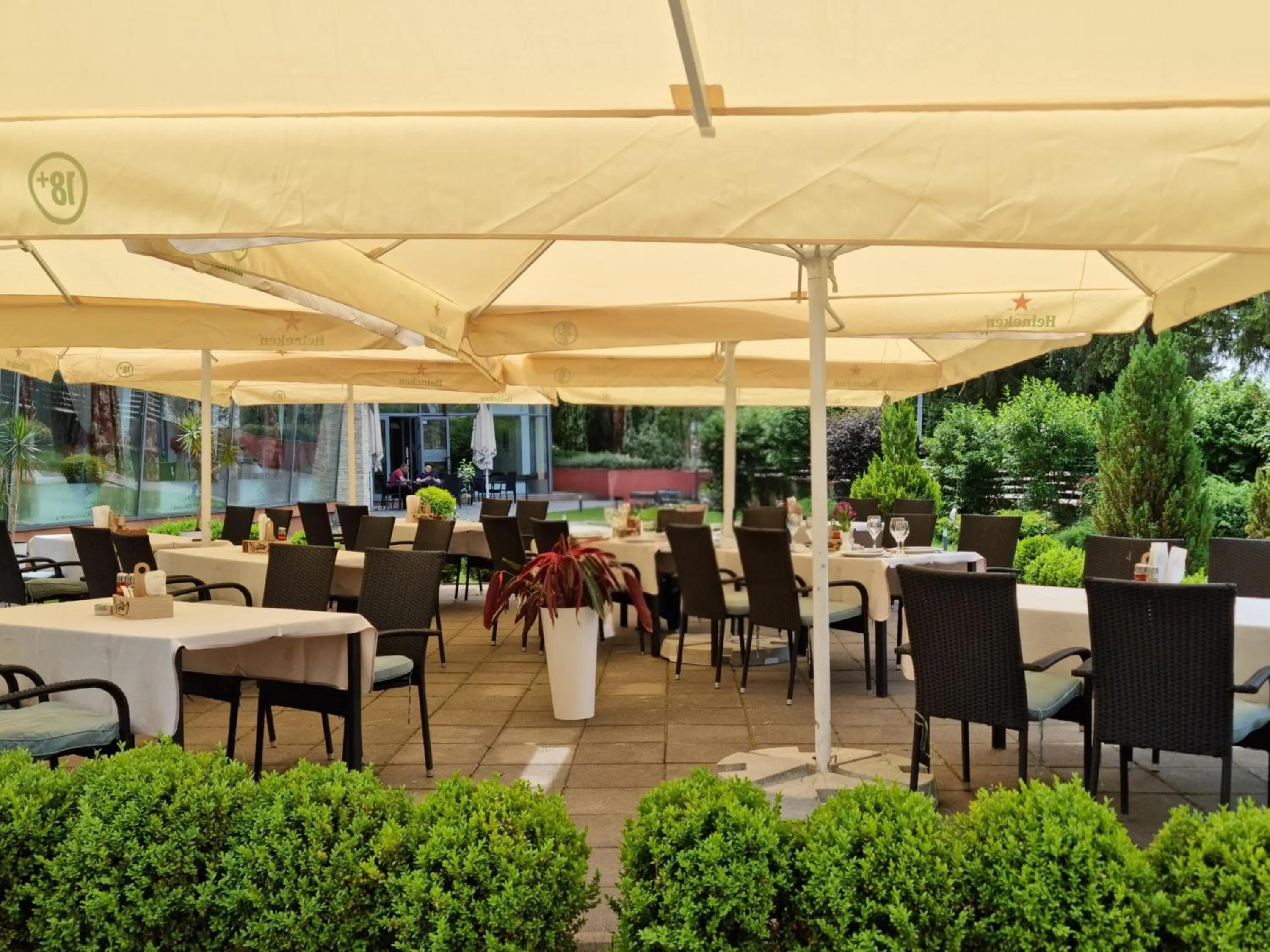 Restaurant/places to eat in Hotel Carpați