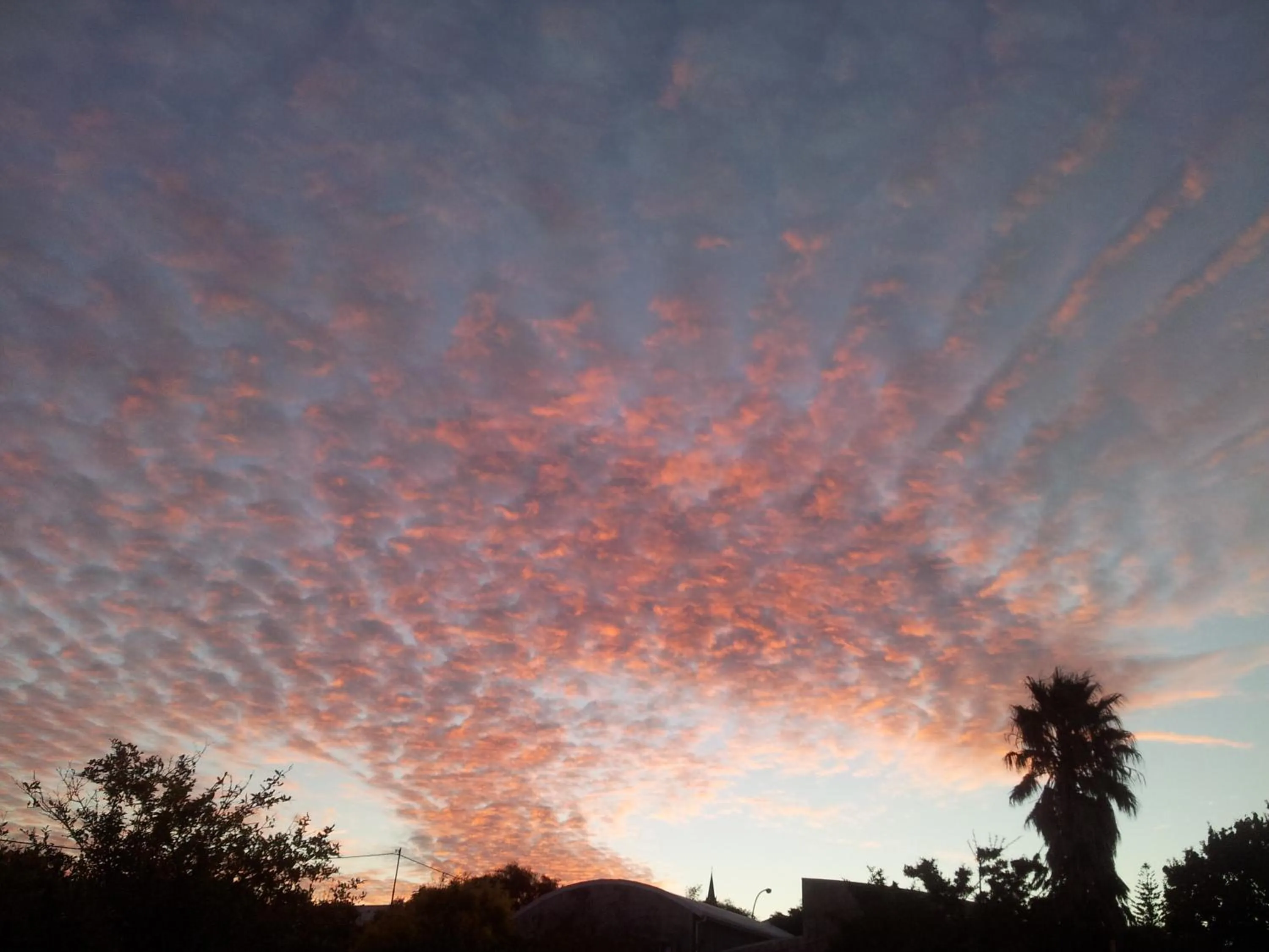 Garden in Wheatlands Lodge