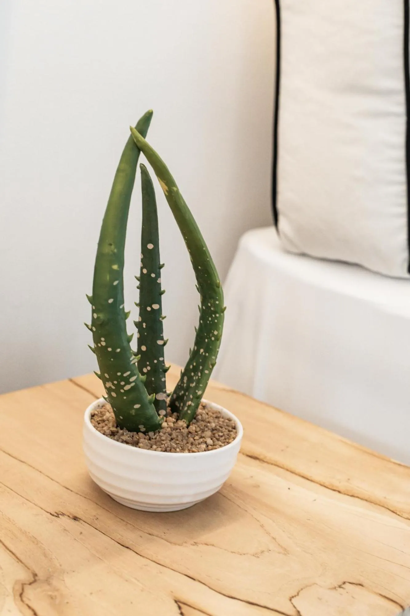 Decorative detail in She Mykonos - Luxury Apartments