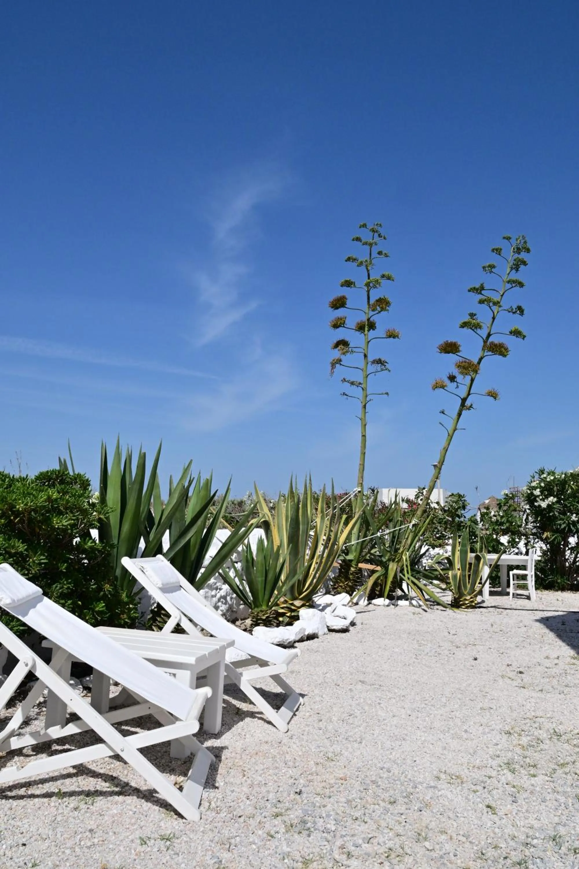 Garden in She Mykonos - Luxury Apartments