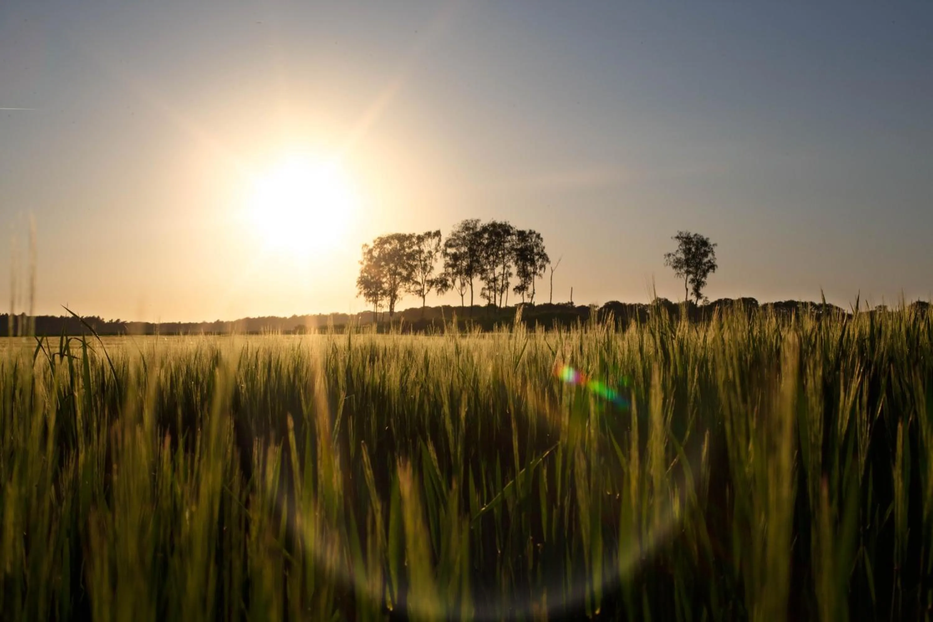 Natural landscape in Buitenplaats Petersburg
