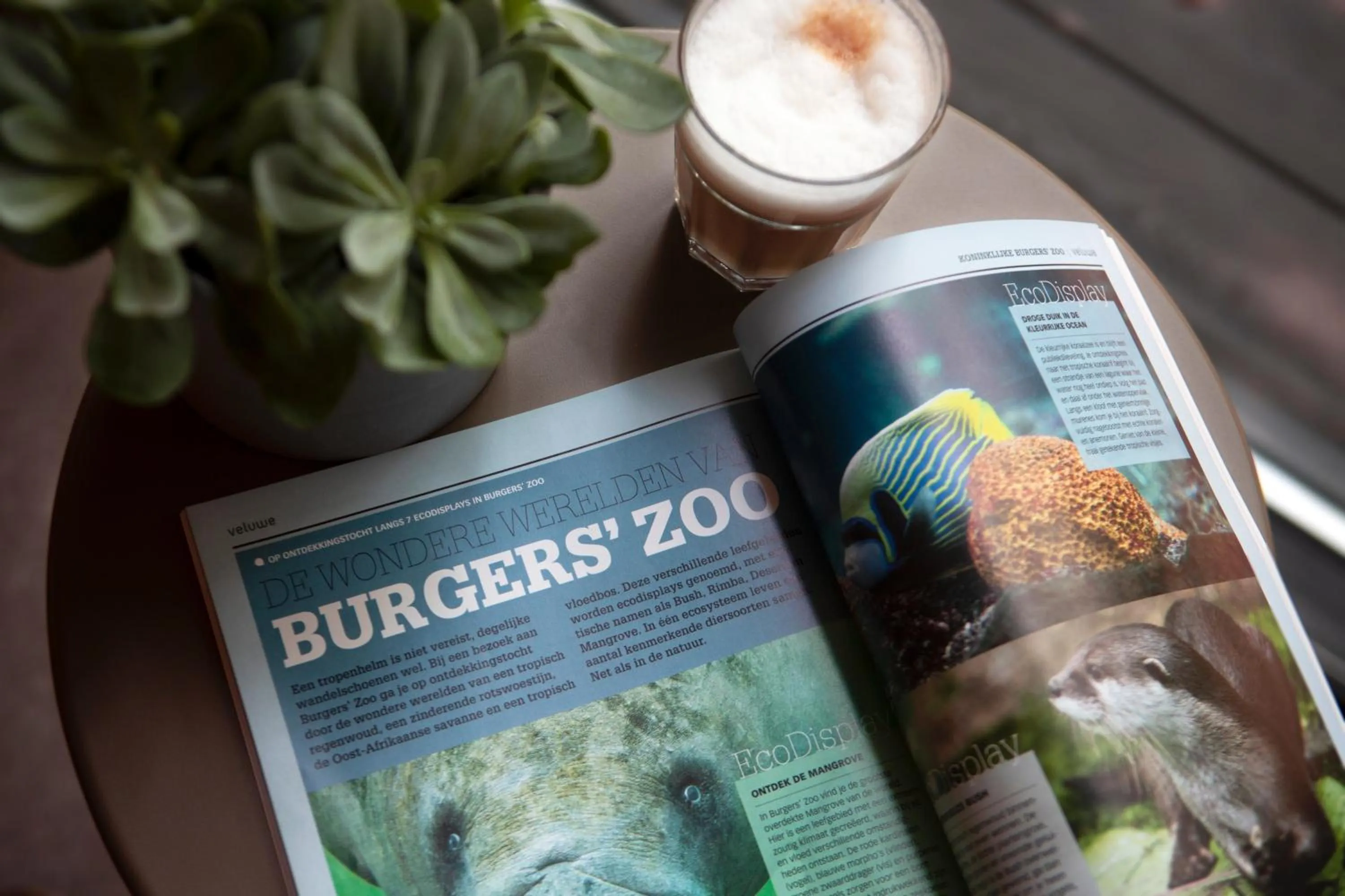 Coffee/tea facilities in Buitenplaats Petersburg