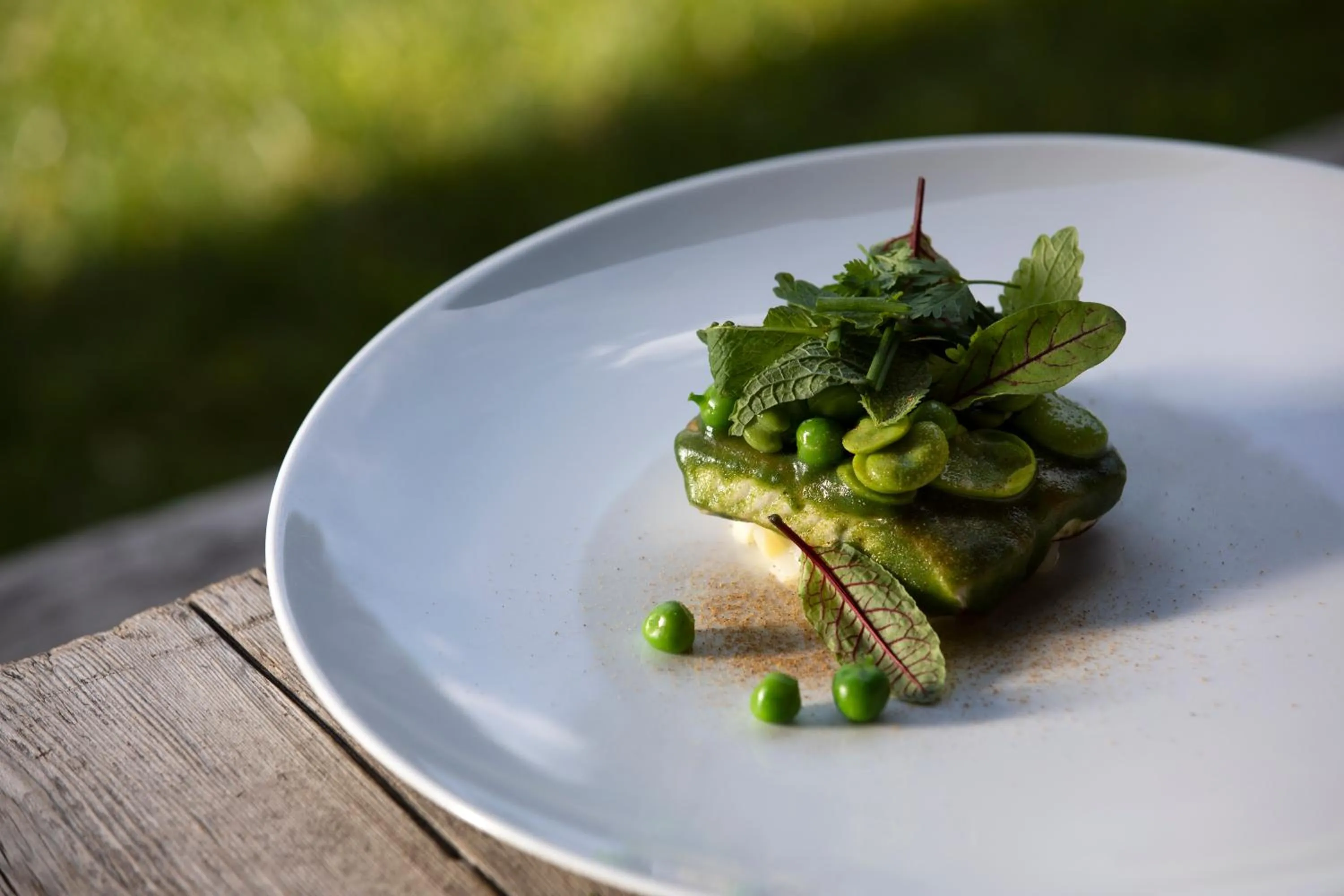 Food in Hotel Magdalener Hof