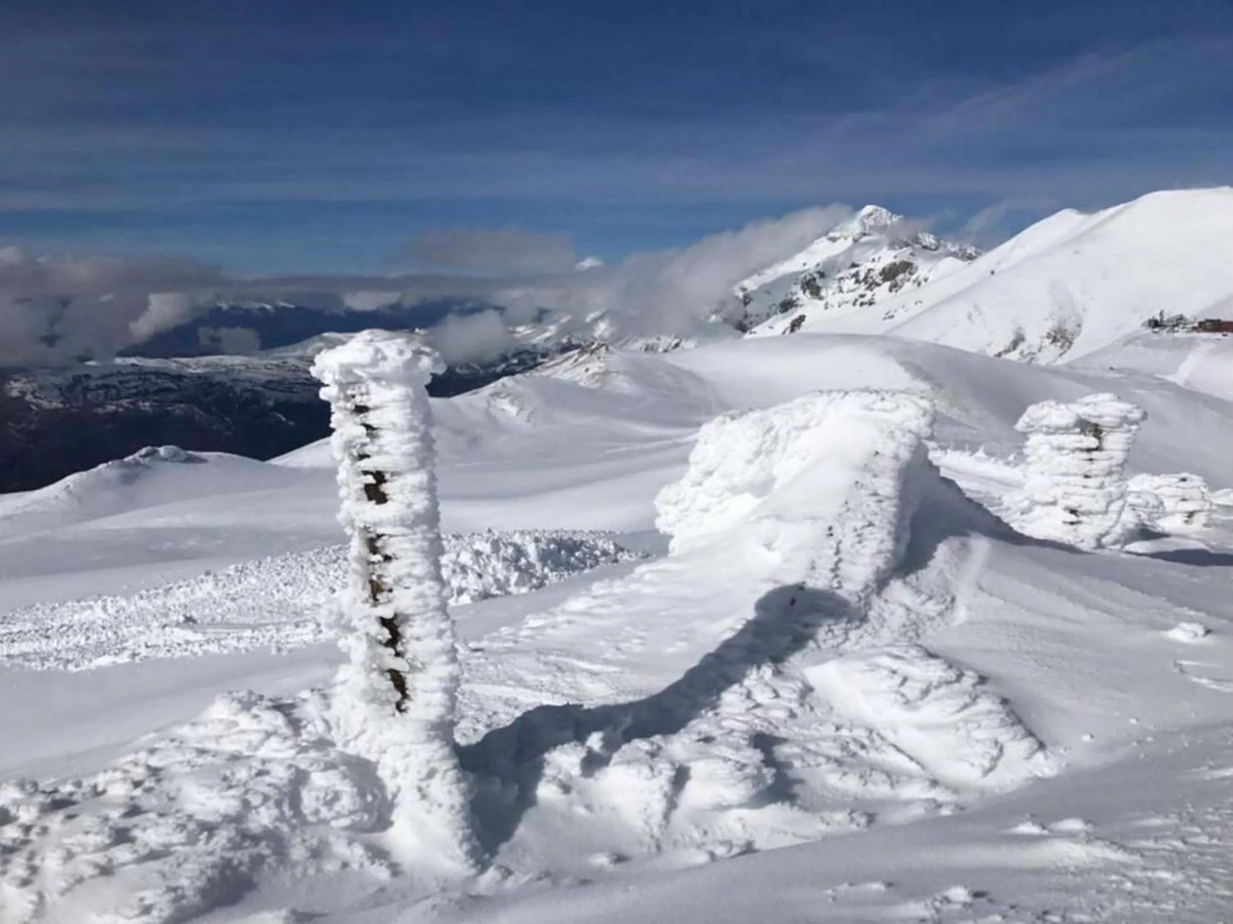 Other in My Suite Hotel