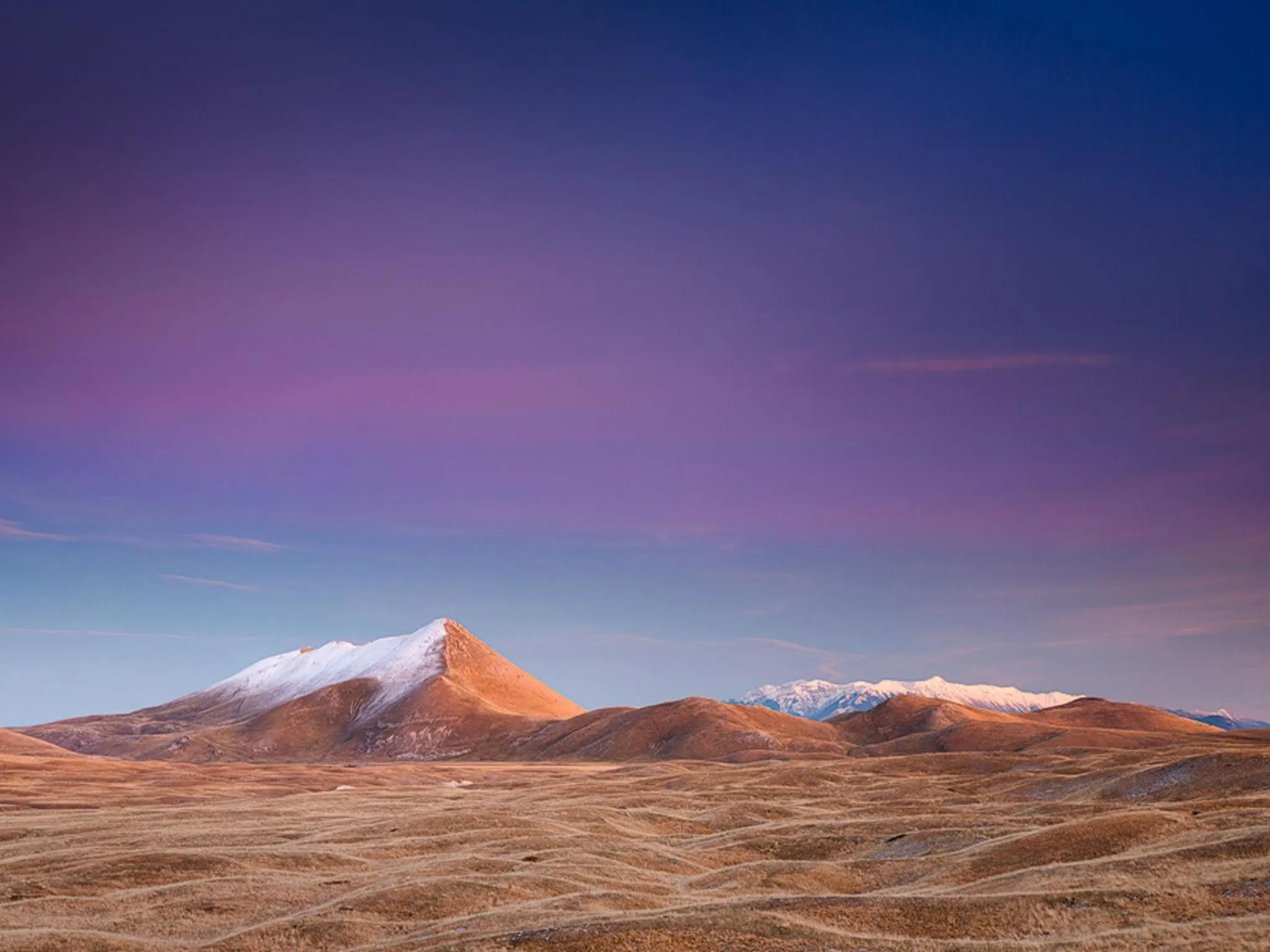 Other in My Suite Hotel