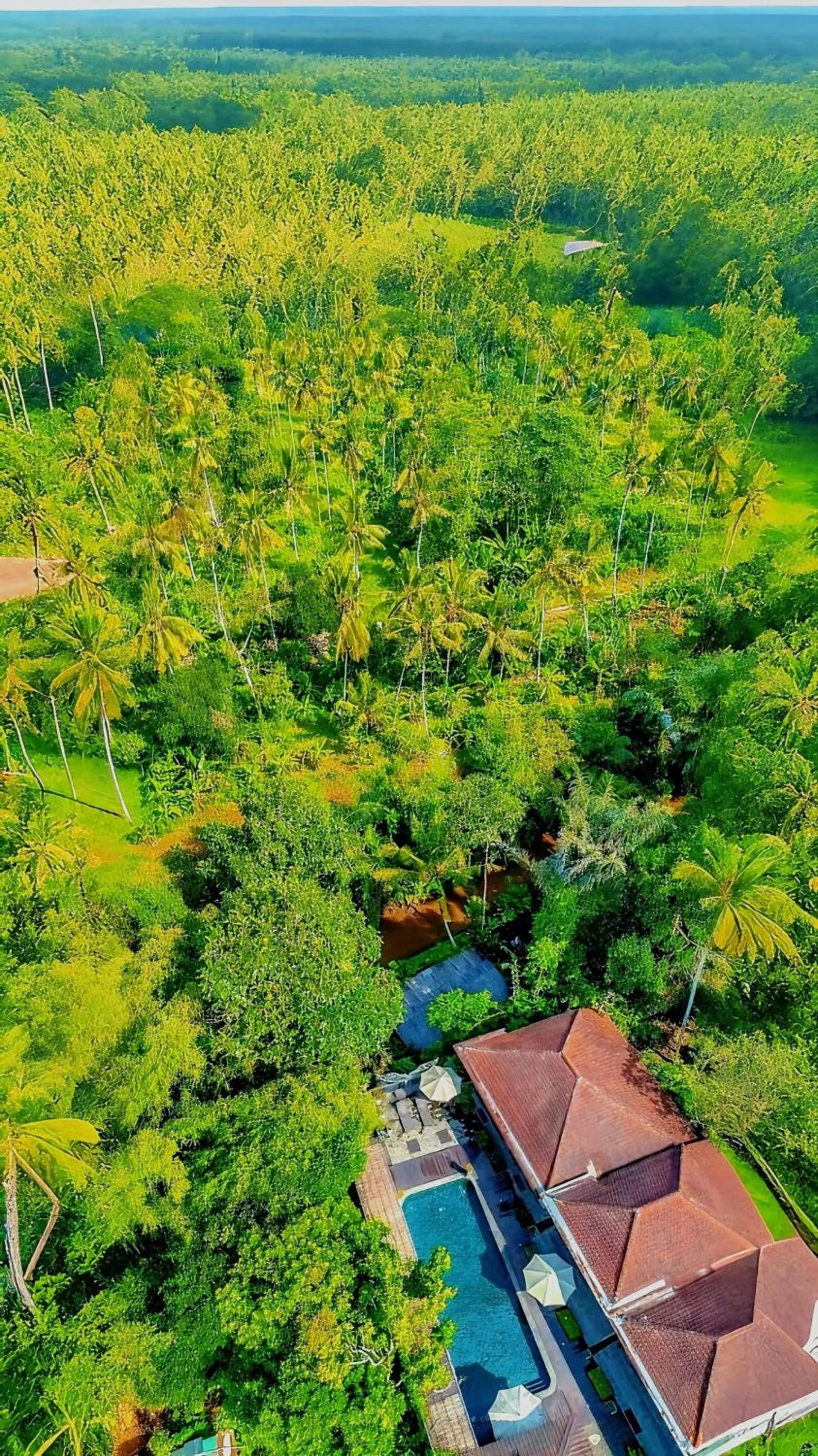 View (from property/room) in Tattva Ubud Retreat & Wellness