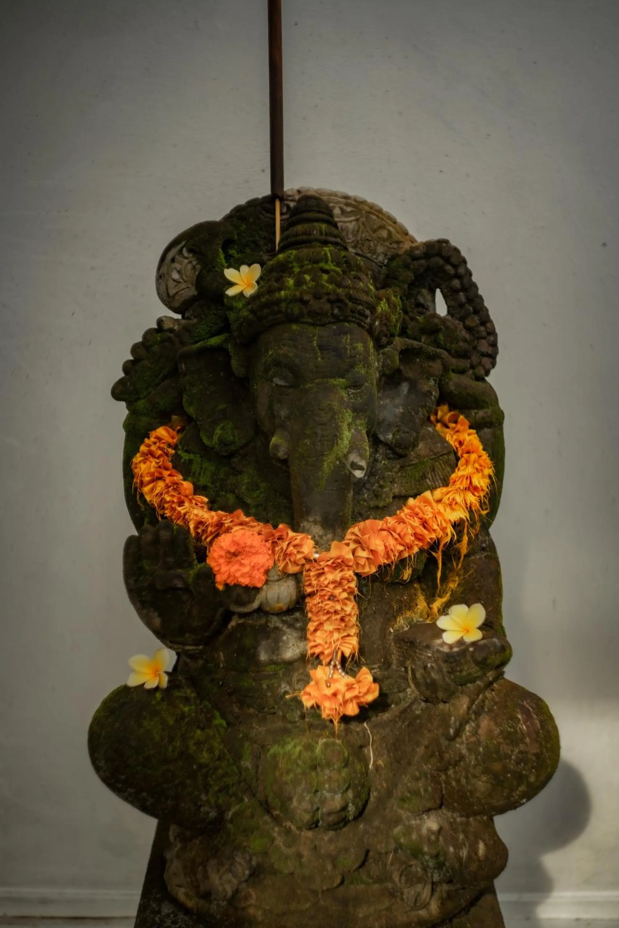 View (from property/room) in Tattva Ubud Retreat & Wellness