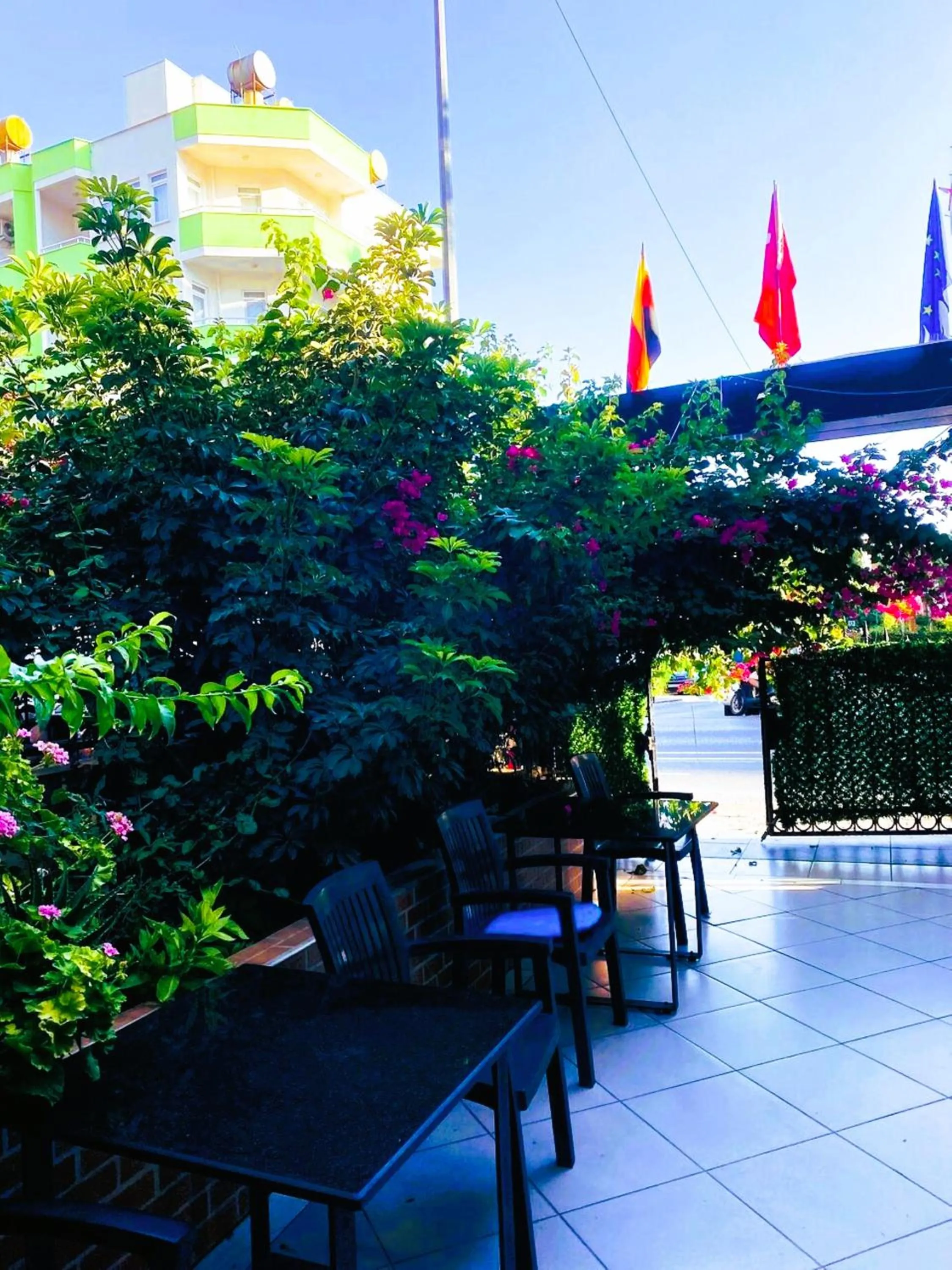 Garden in Cleopatra City Hotel Alanya