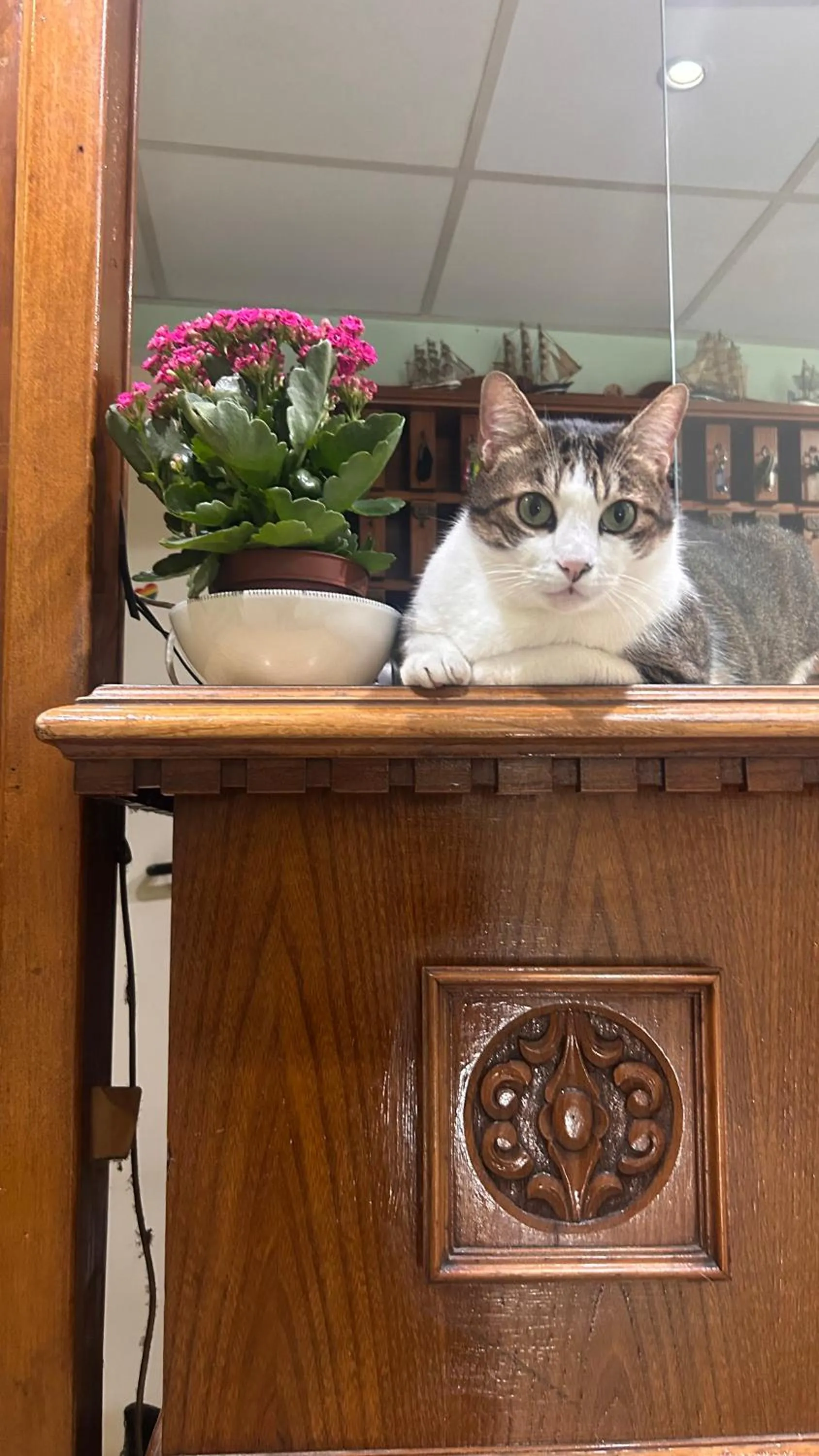 Lobby or reception in Albergo fiorita