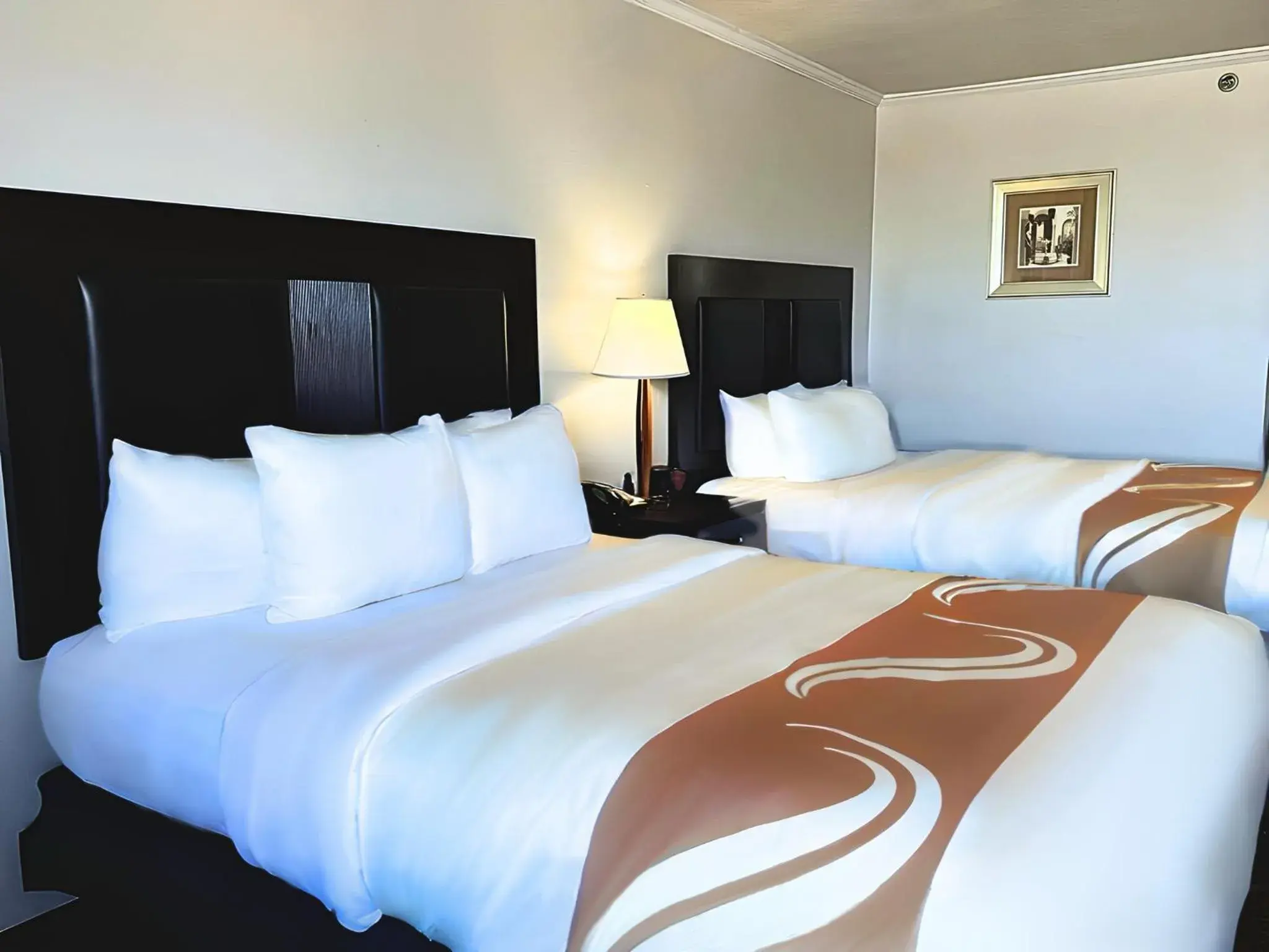 Standard Queen Room with Two Queen Beds - Non Smoking in Quality Inn Fort Worth - Downtown East Standard Queen Room with Two Queen Beds - Non Smoking in Quality Inn Fort Worth - Downtown East