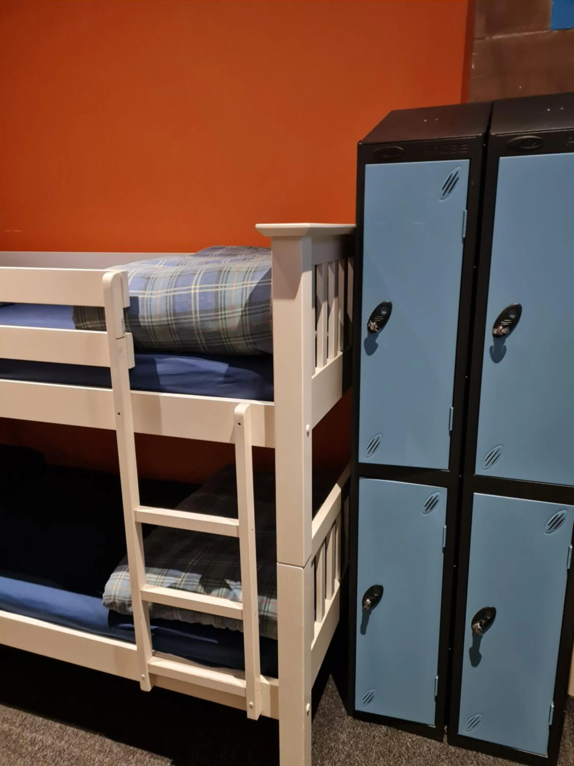 bunk bed, Bed in Belford Hostel