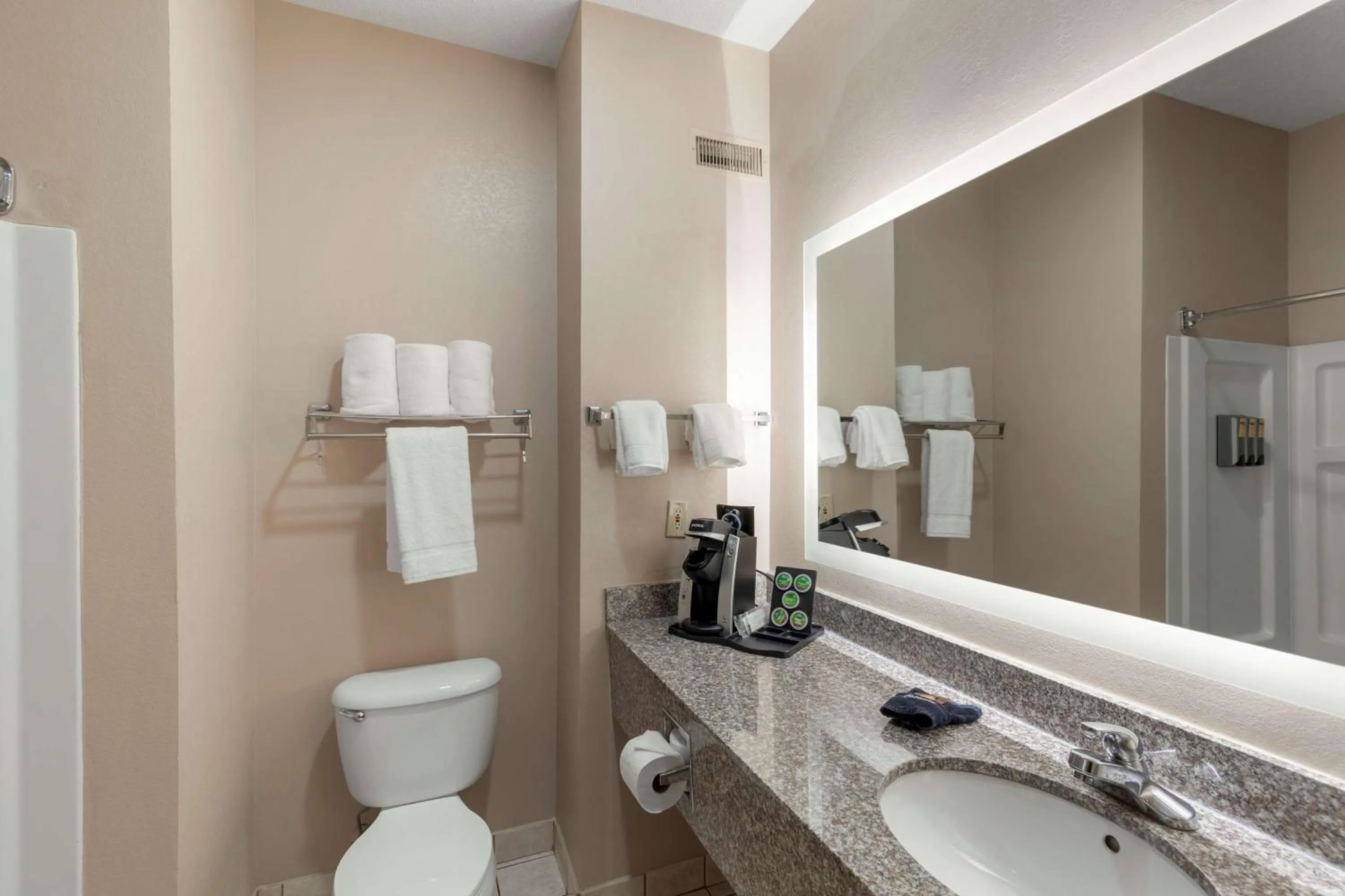 Bathroom in Best Western Plus Russellville Hotel & Suites