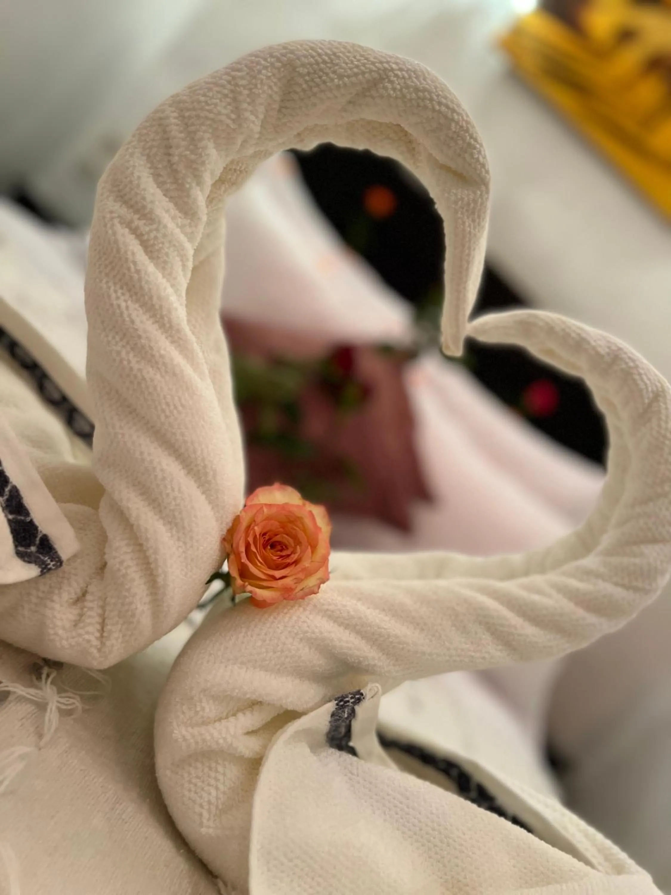 Decorative detail in Riad Malfa