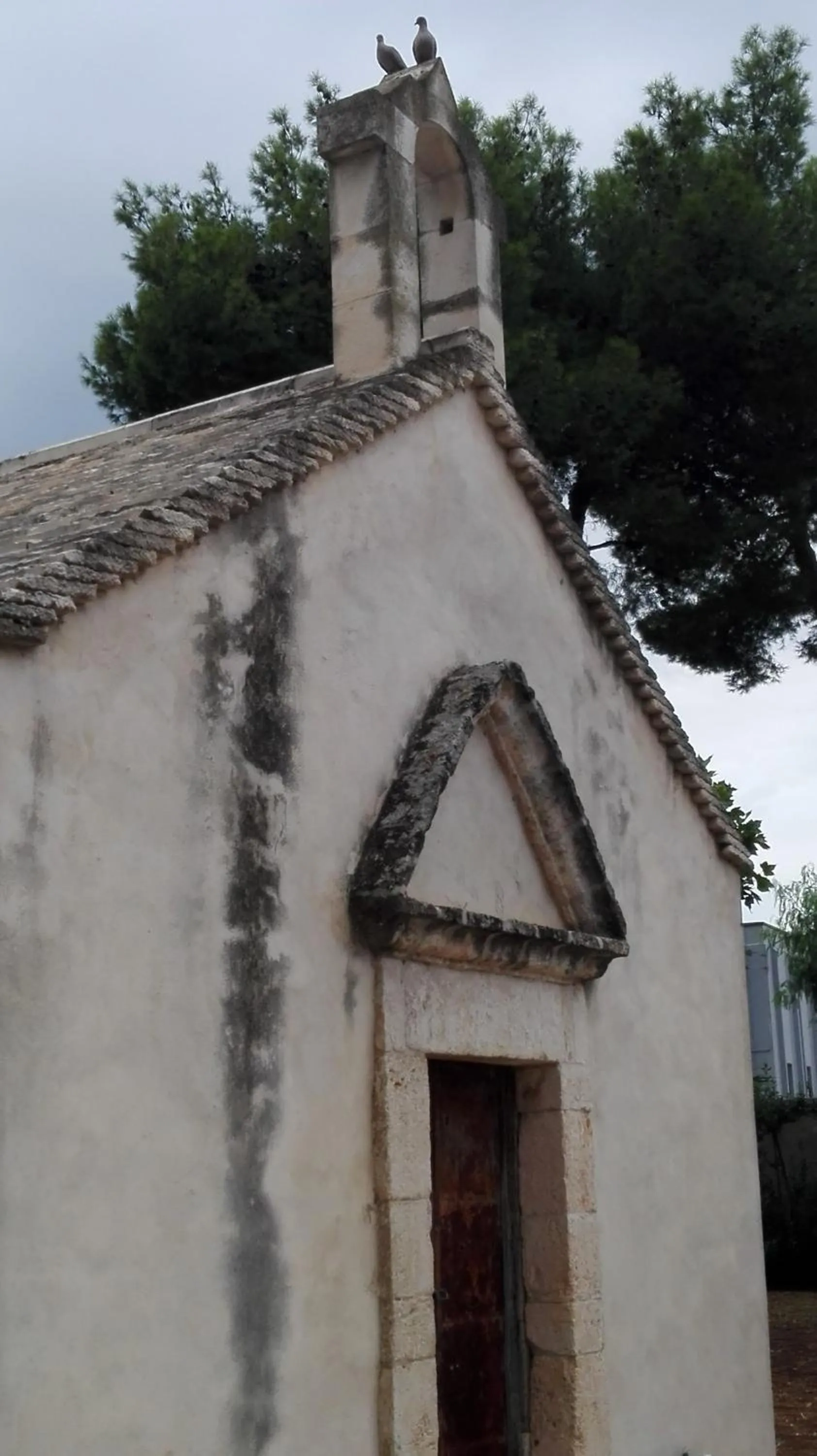 On site in D'Aragona Lifestyle Hotel