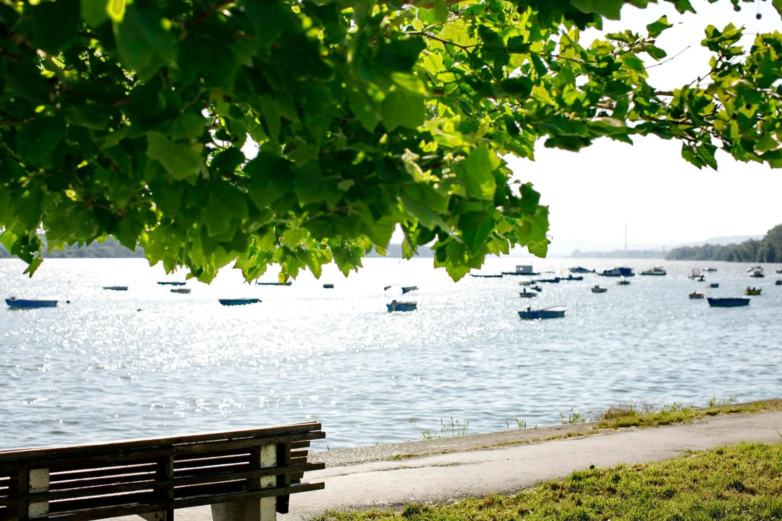 Area and facilities in Side One Design Hotel Garni