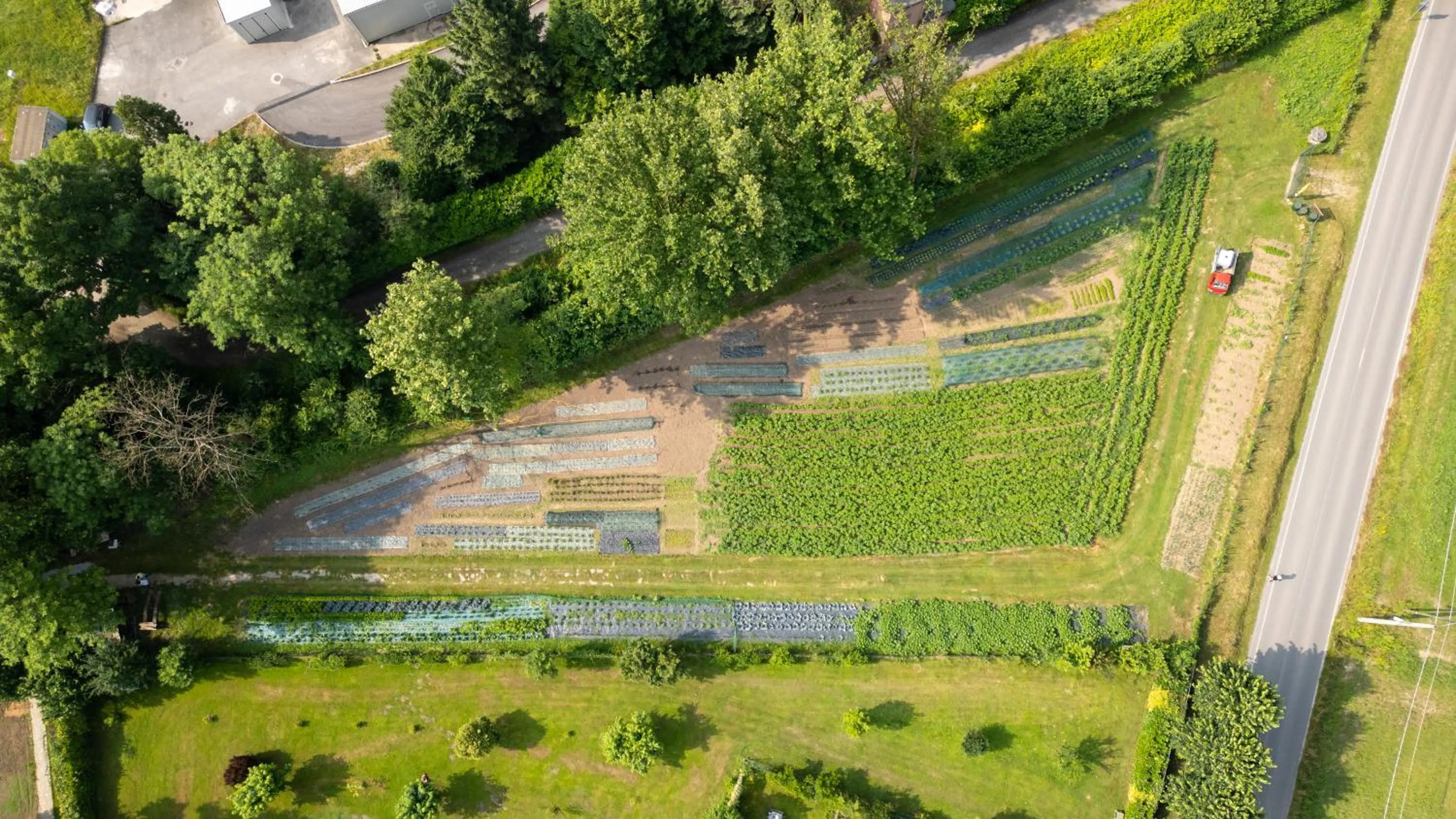 Natural landscape in La Casa del Mulino