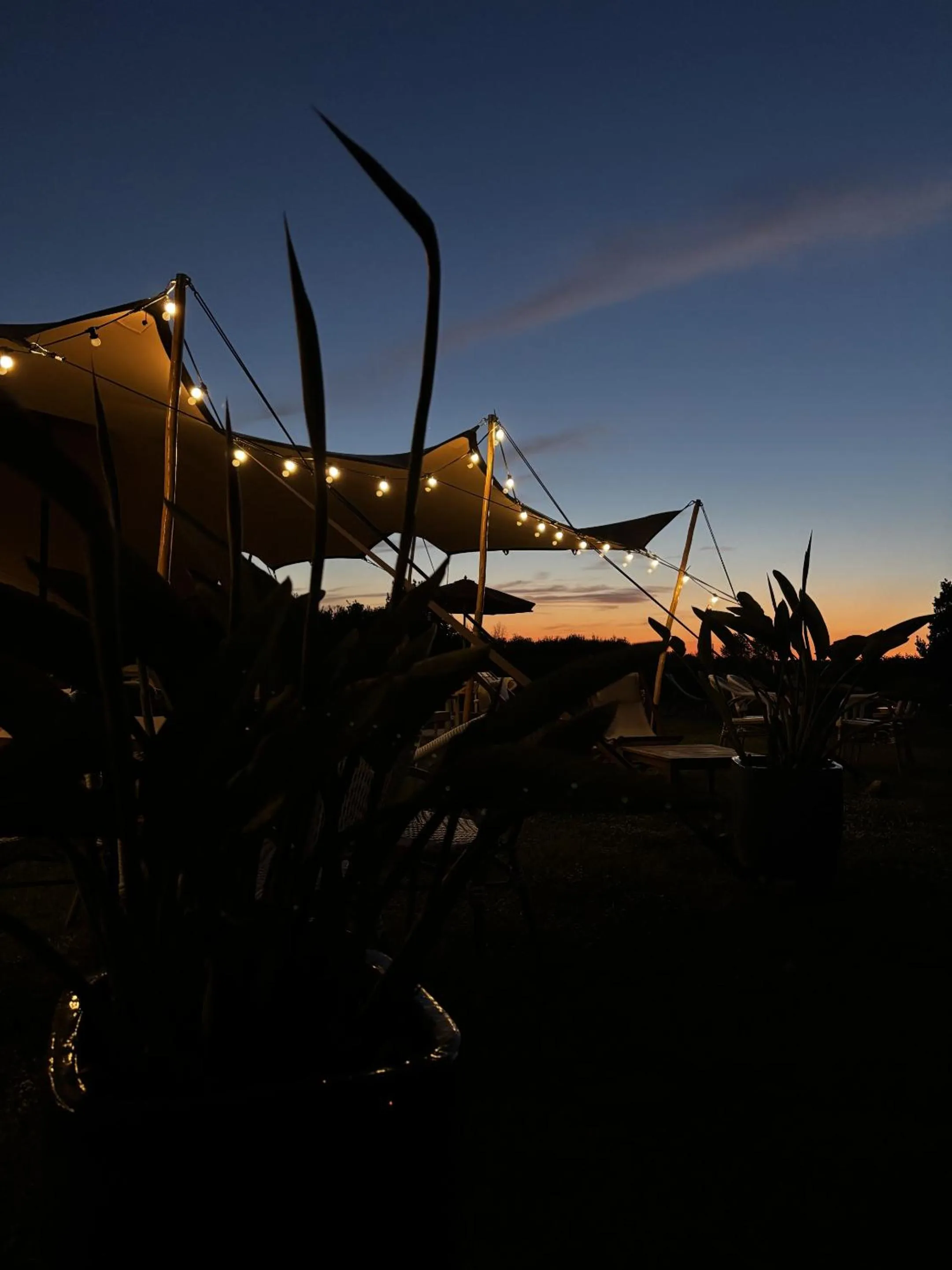 Food and drinks in Château de Neyran chambre d'hôtes & Spa