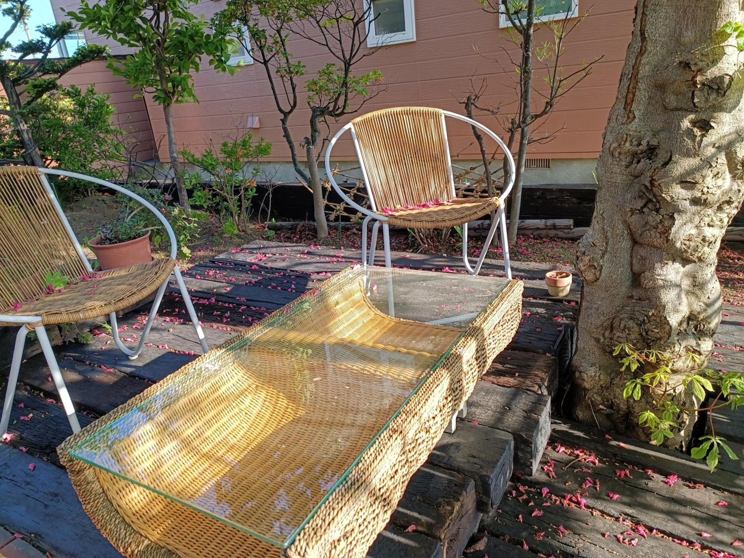 Patio in Sapporoの実家 B&B Yoshida