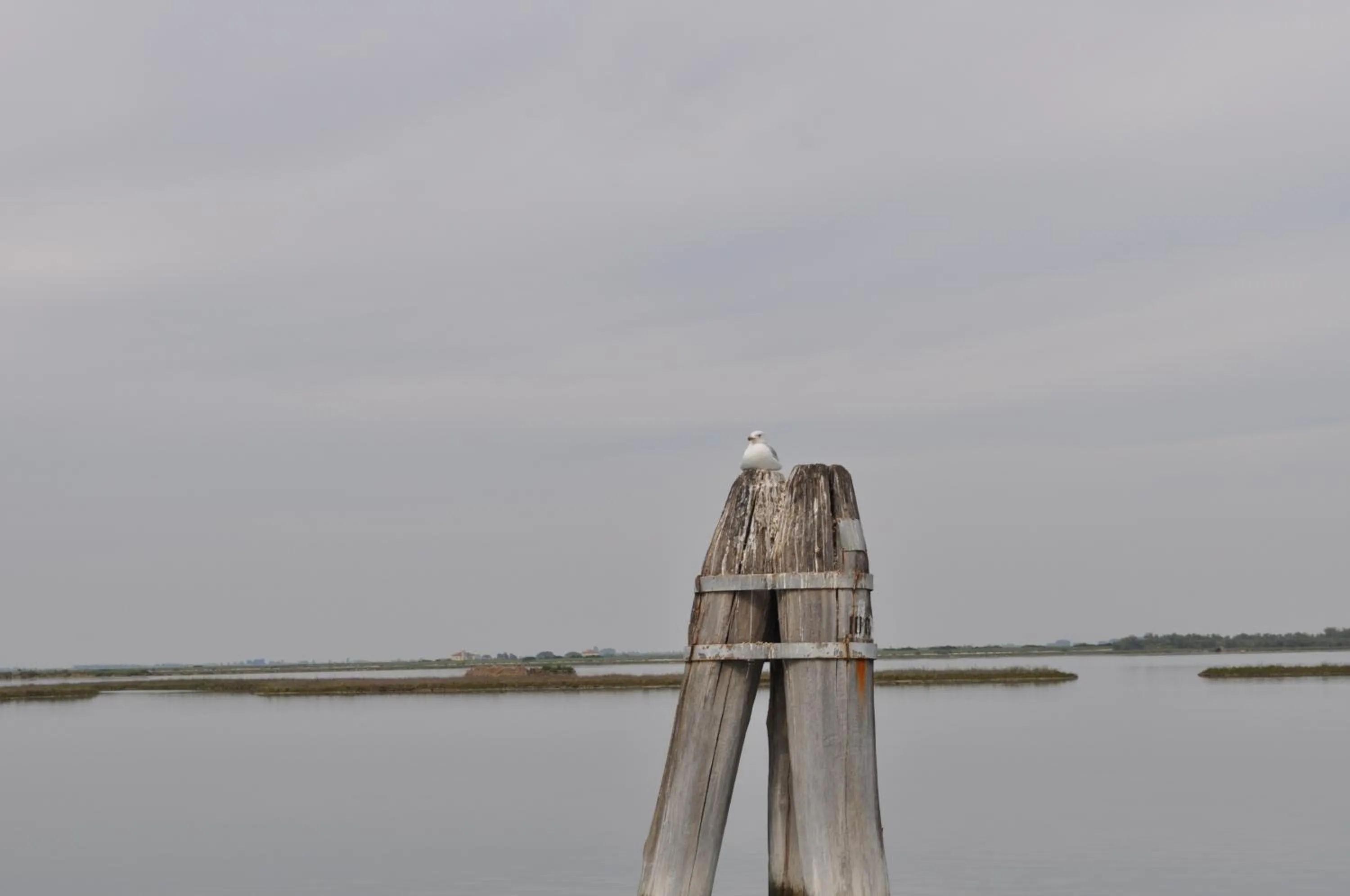 Aqua park in Agriturismo La Barena