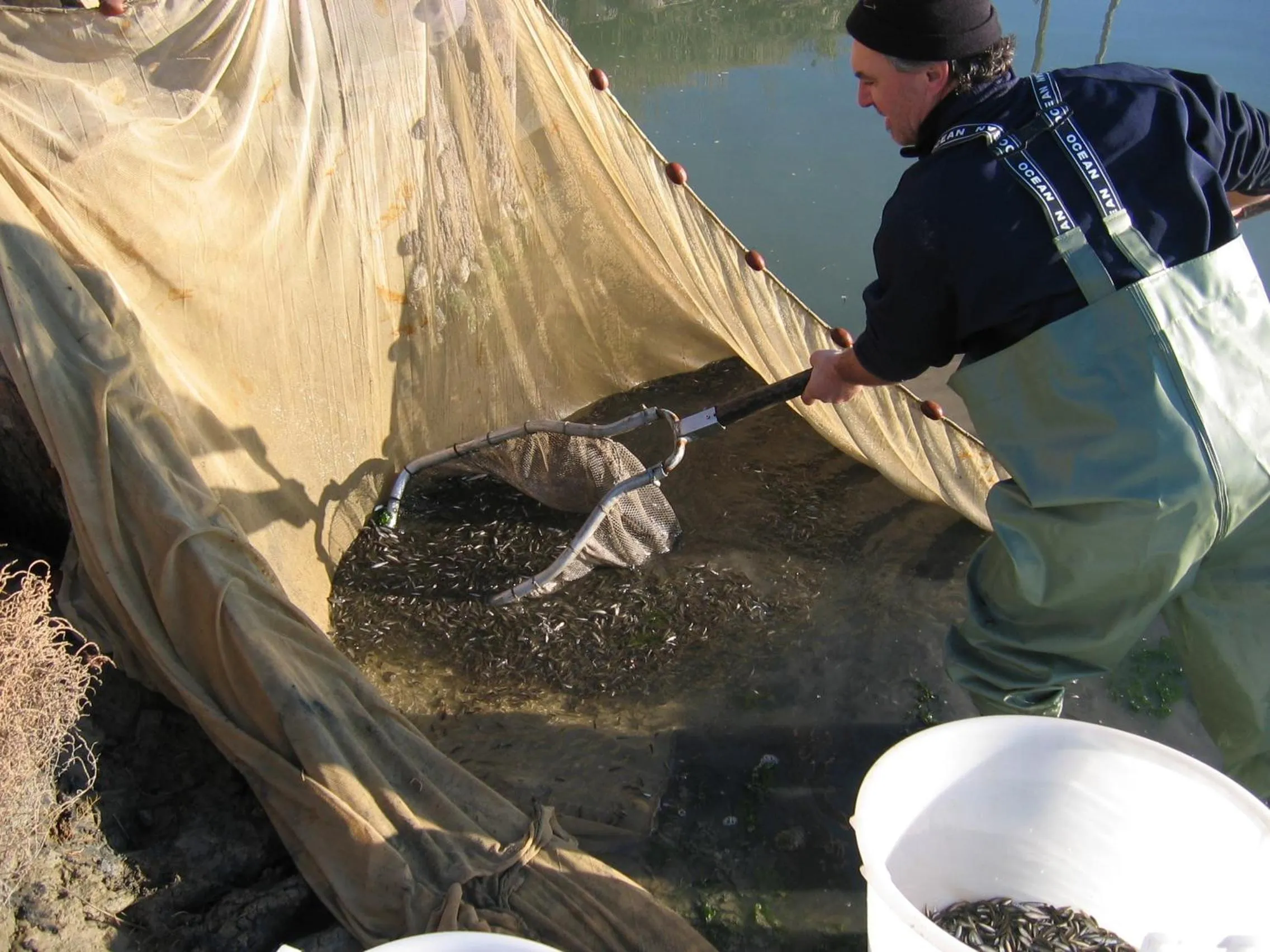 Fishing in Agriturismo La Barena