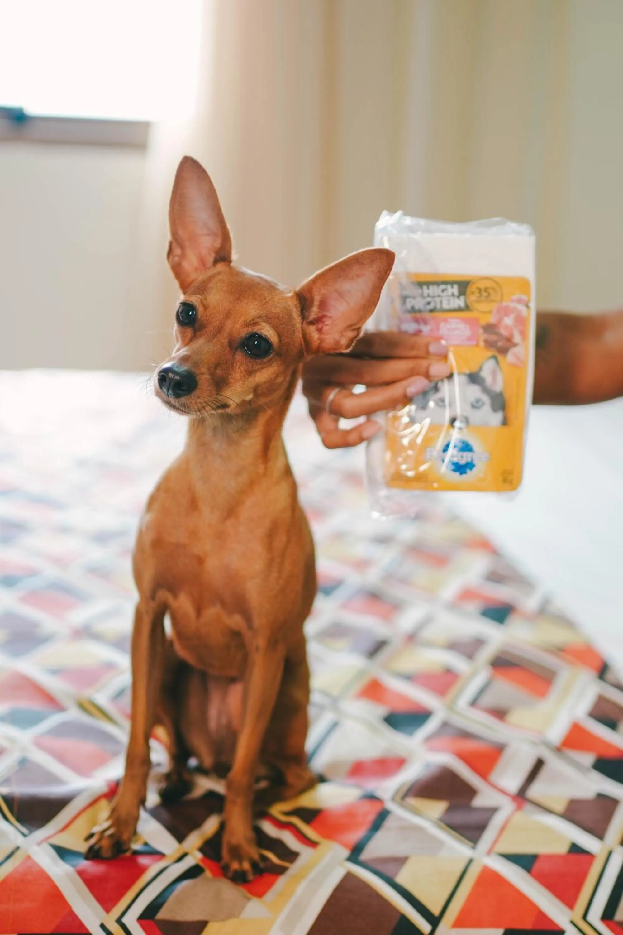 Bedroom in Soft Win Hotel São Luís