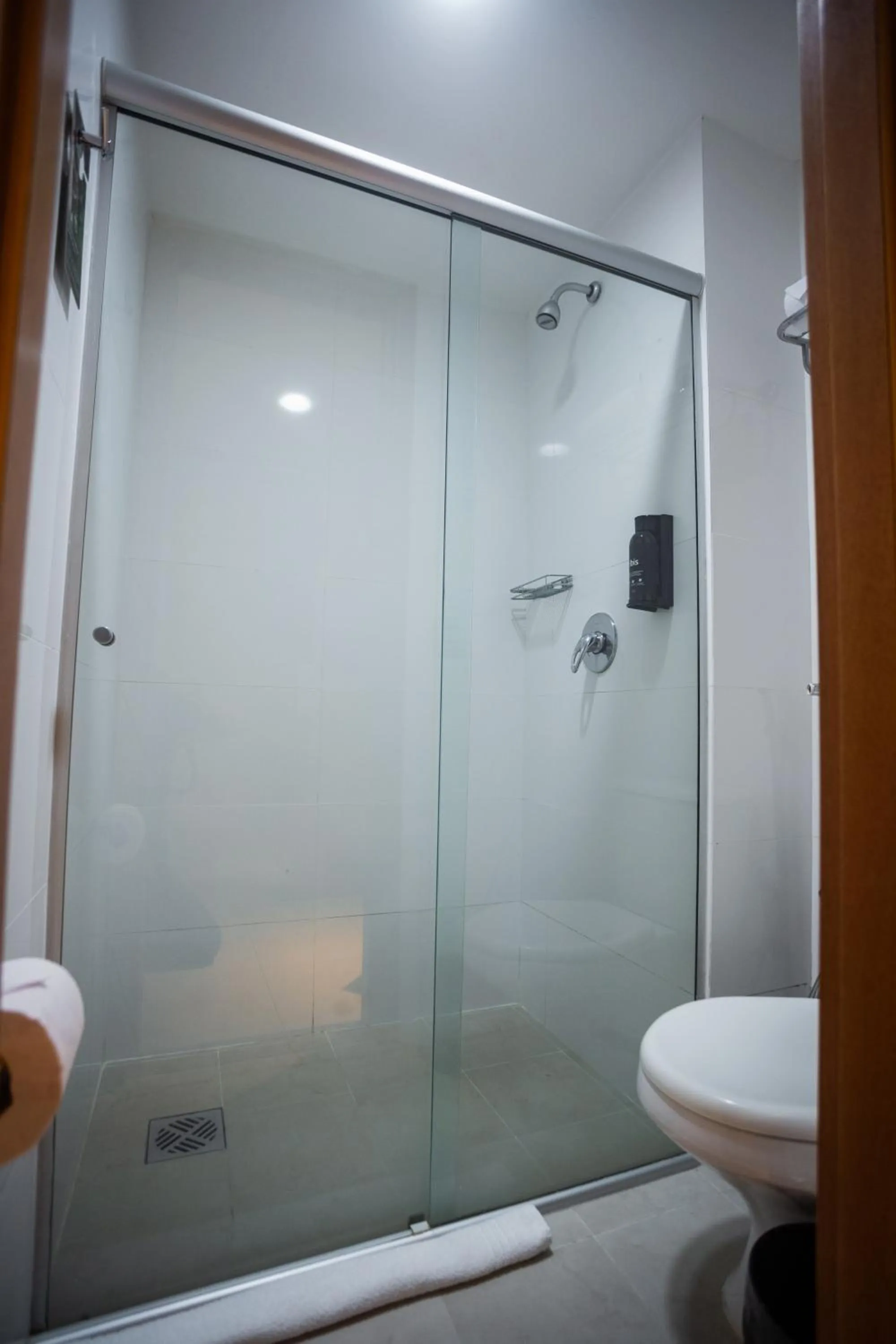 Shower in ibis Styles Belém do Pará