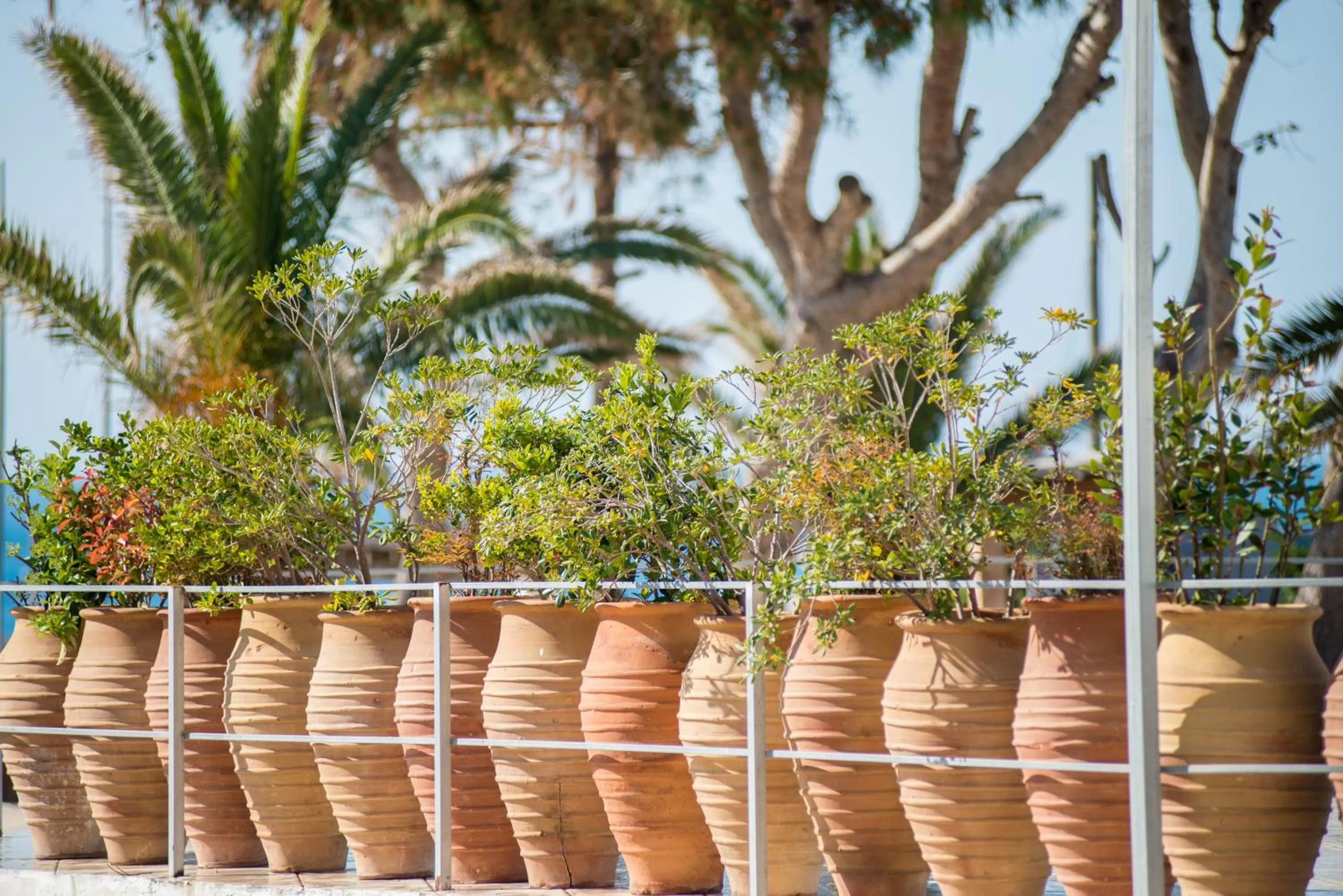 Decorative detail in Approdo Boutique Hotel Leuca