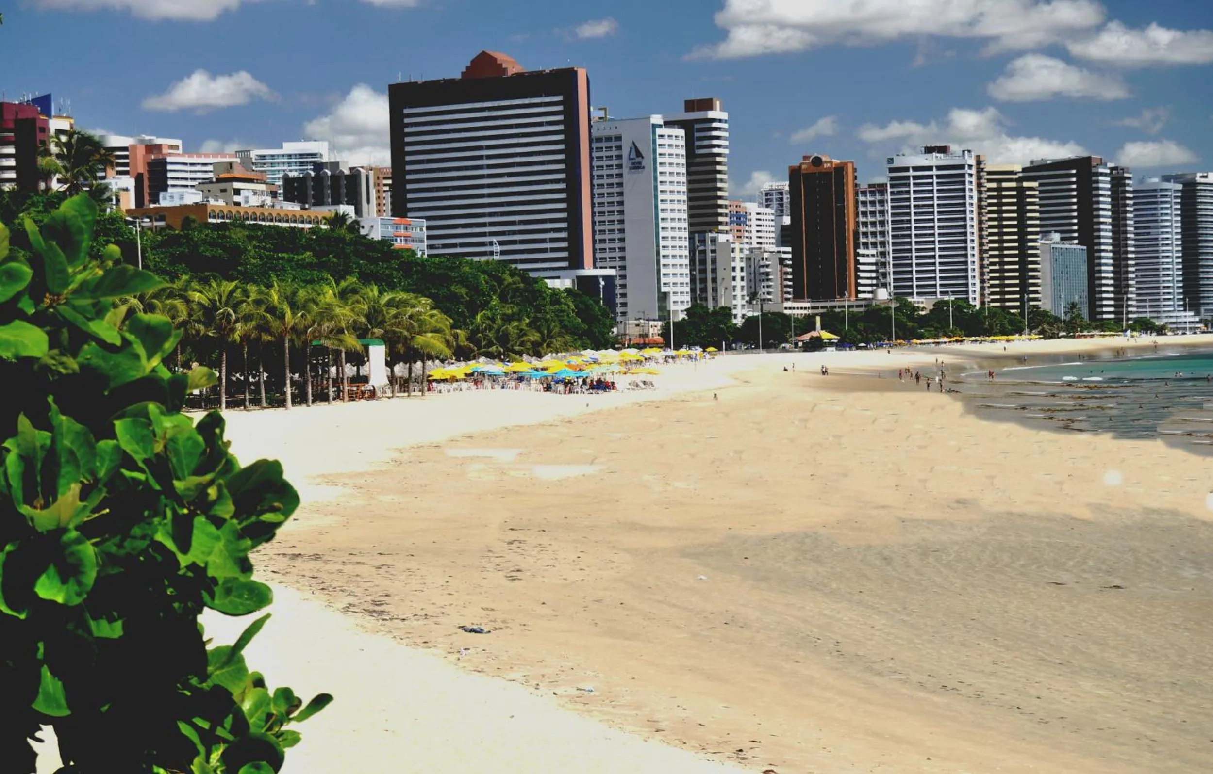 Area and facilities in Seaflats - Meireles - Villa Costeira