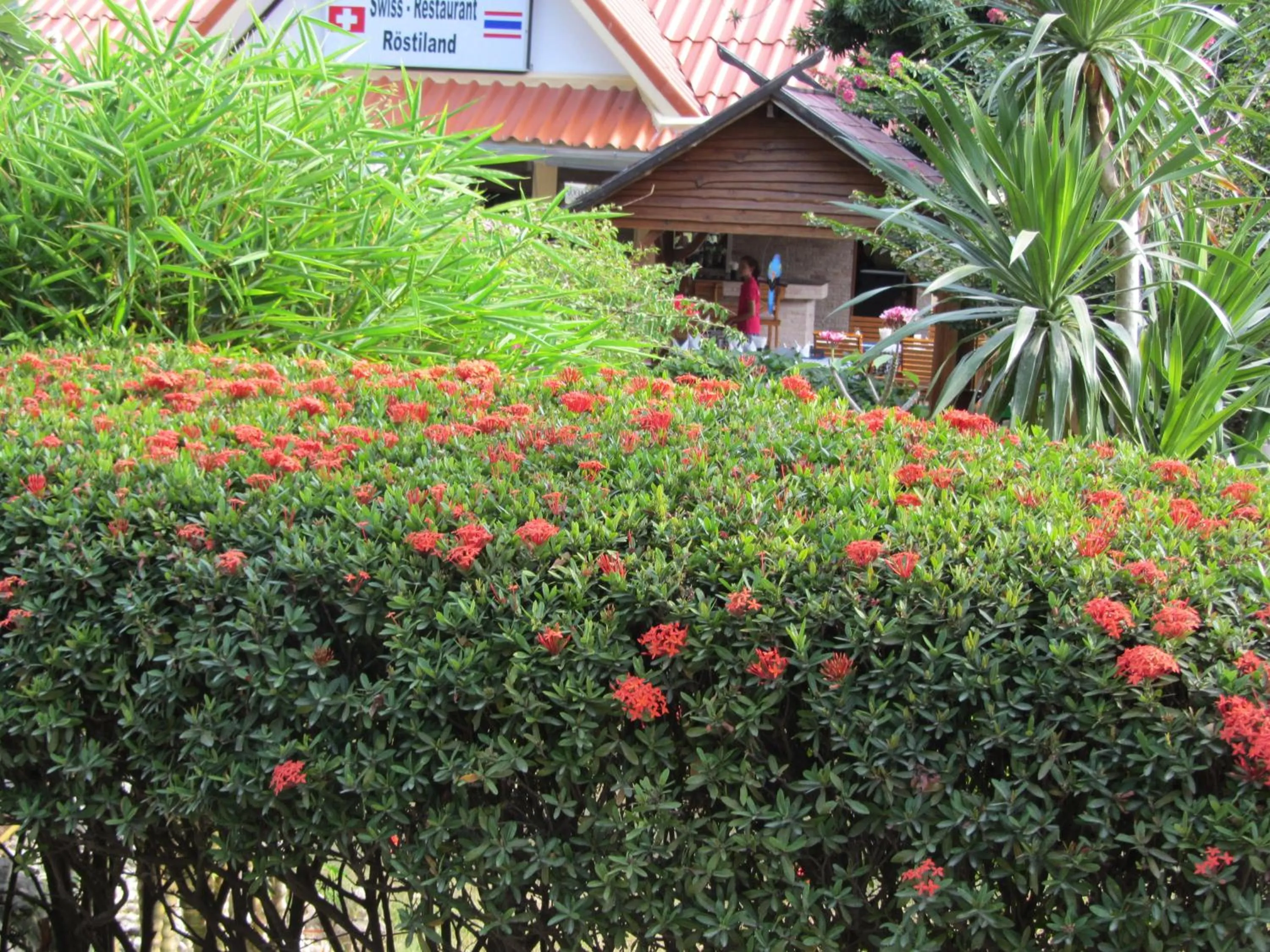 Garden in Flower Paradise Bungalows & Swiss Restaurant Roestiland