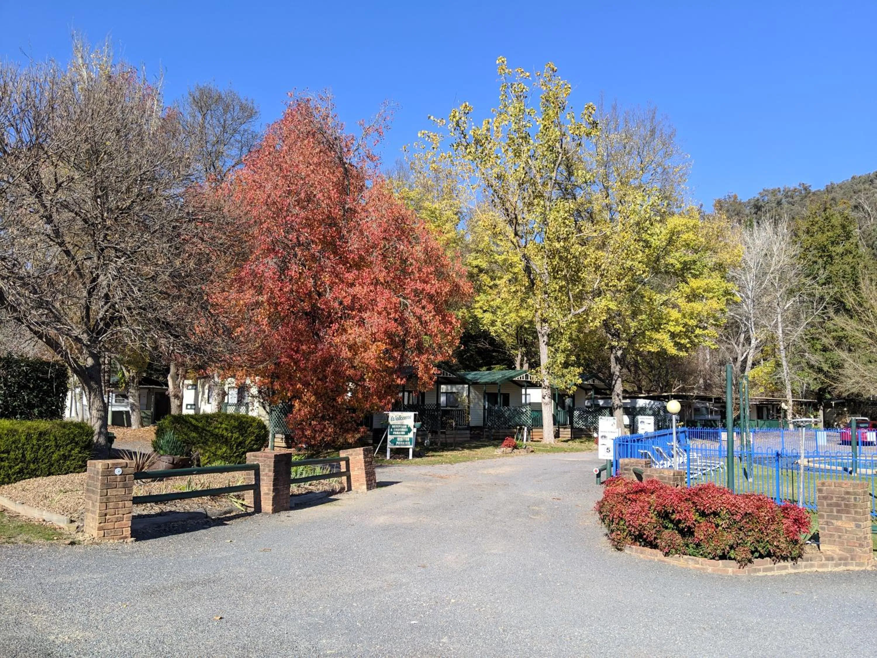 Garden in Bright Accommodation Park