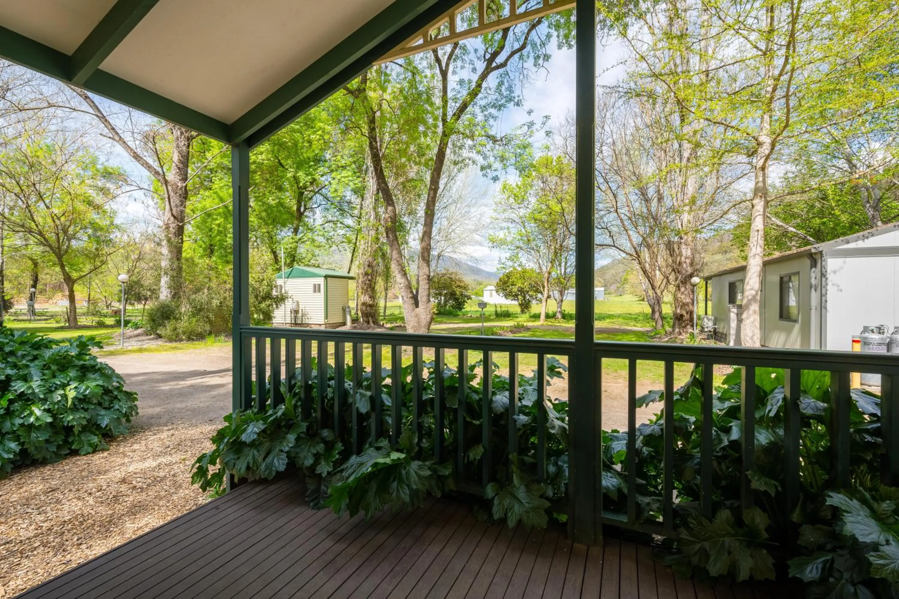 Garden view in Bright Accommodation Park