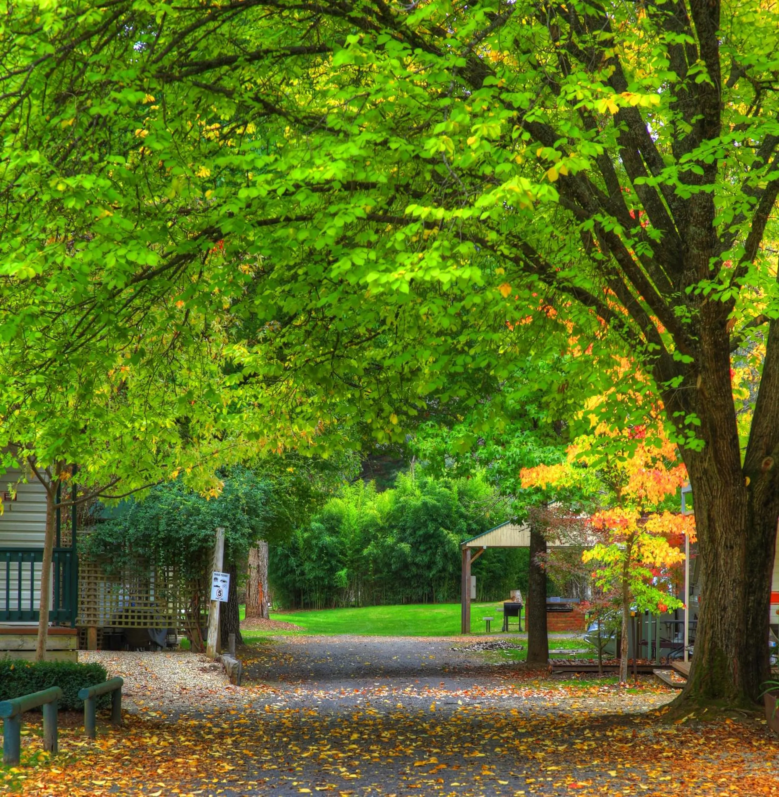 Garden in Bright Accommodation Park