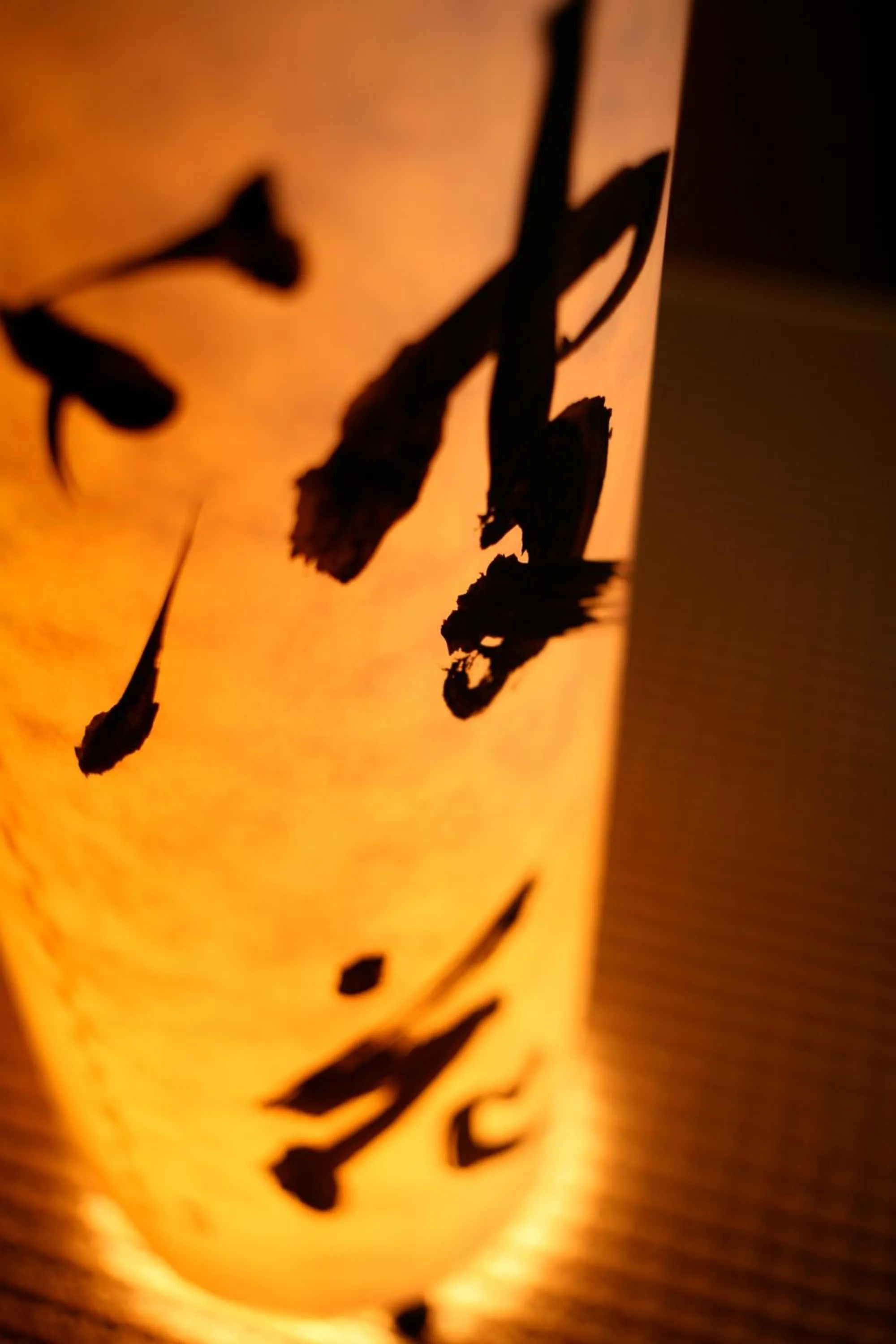 Tabinoyado Ushionoakari Geiboso