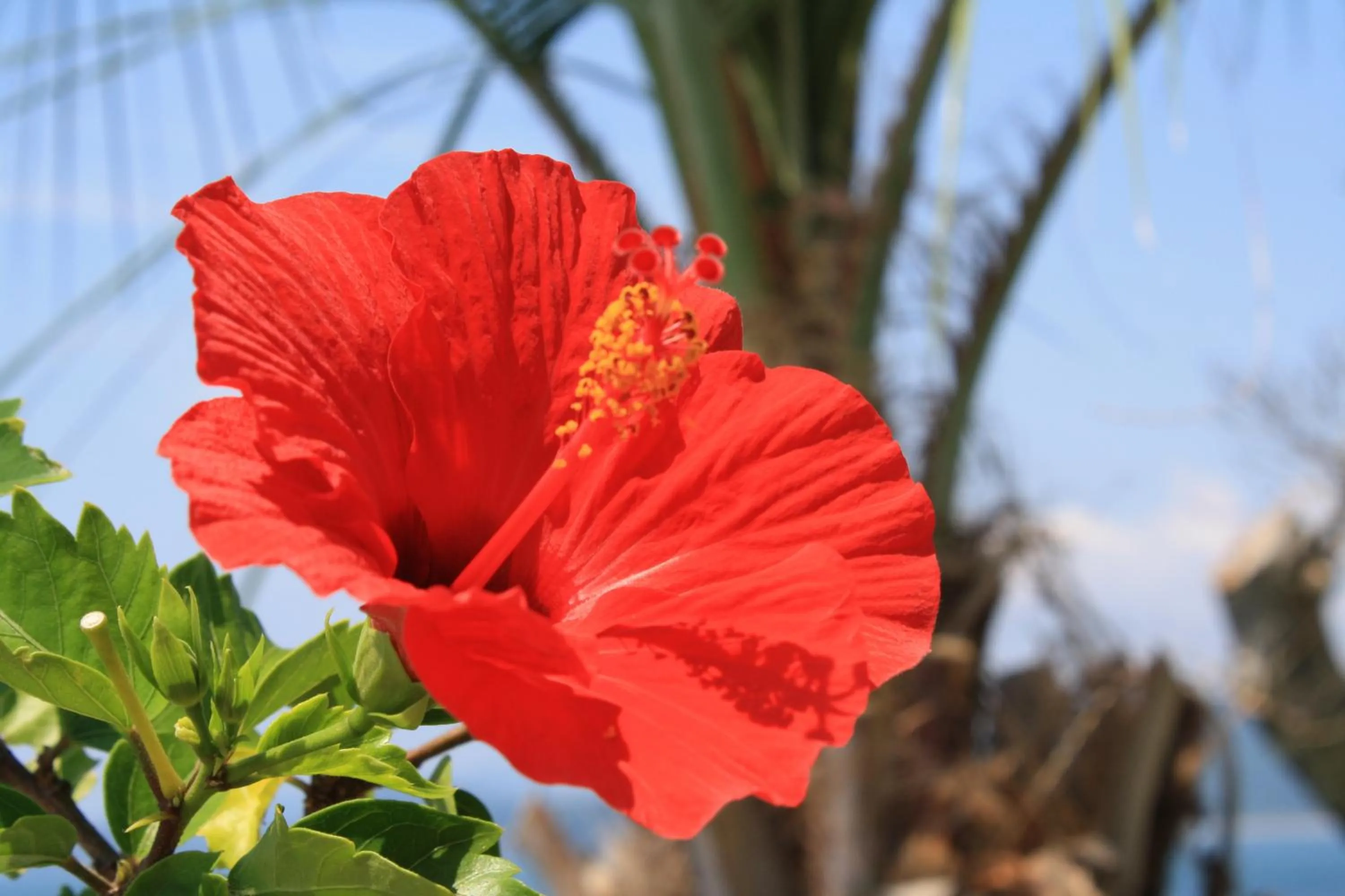 Tabinoyado Ushionoakari Geiboso