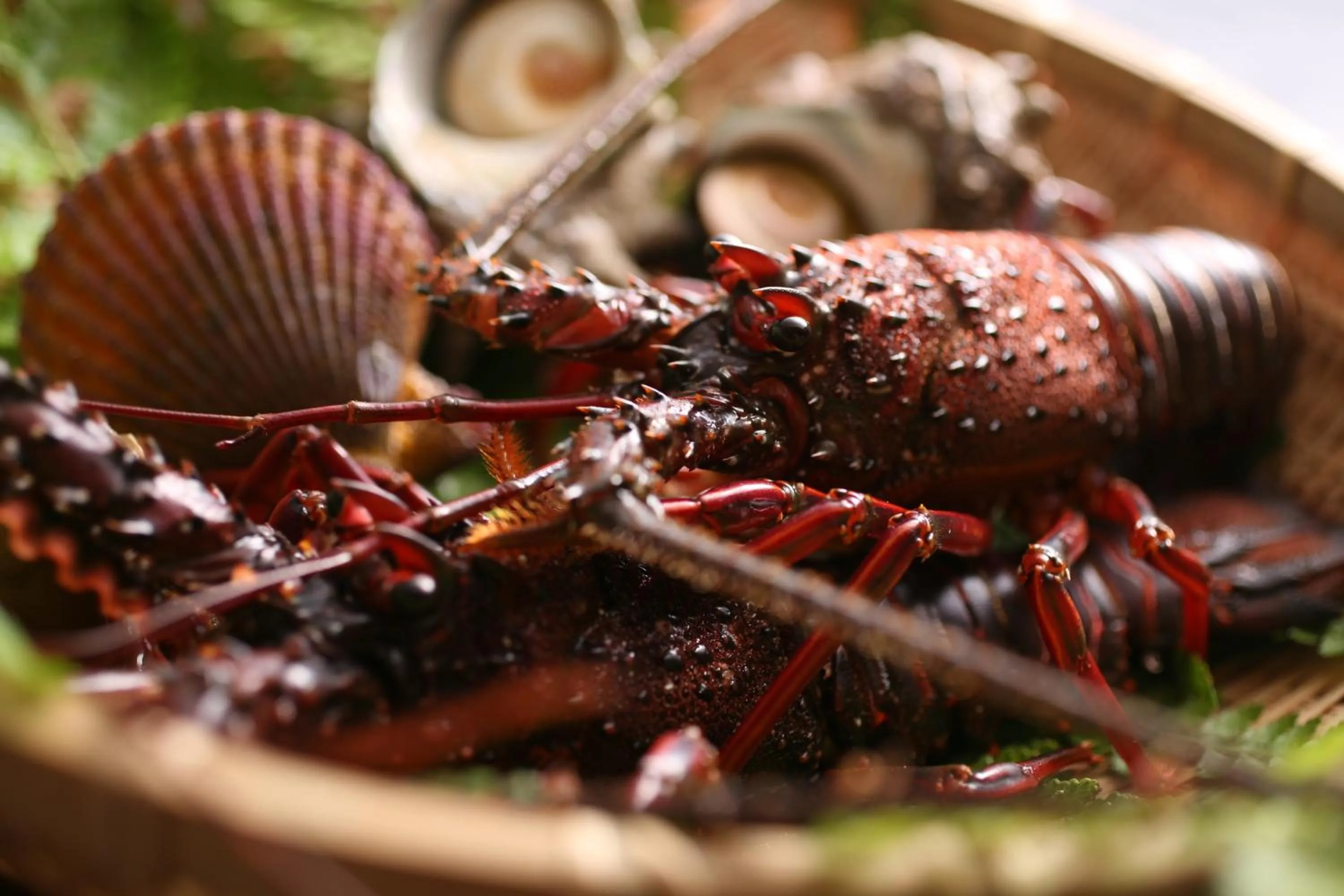 Food close-up in Tabinoyado Ushionoakari Geiboso