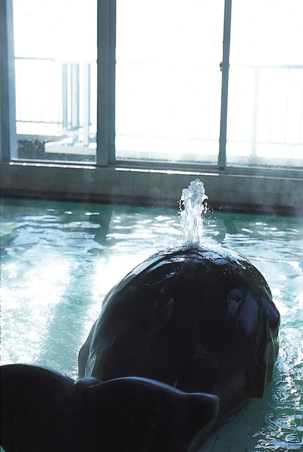 Tabinoyado Ushionoakari Geiboso