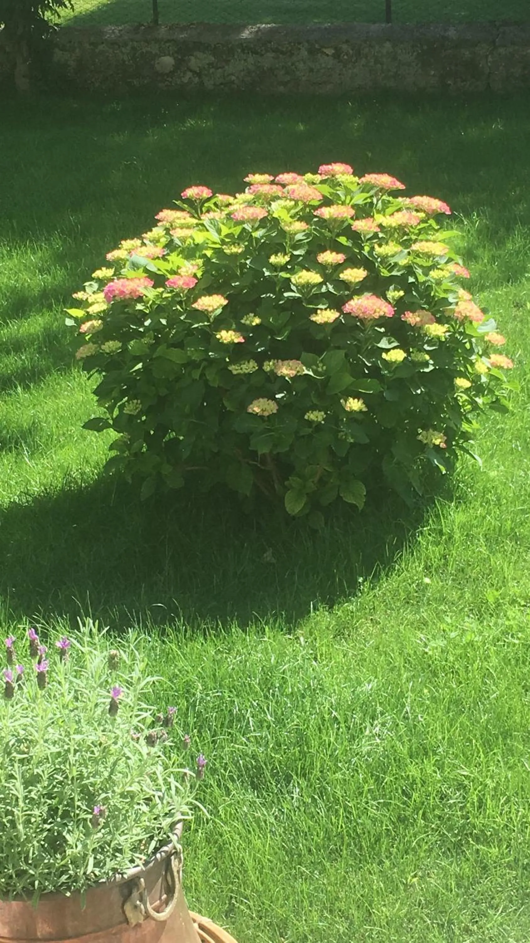 B&B Ernestine Family Home