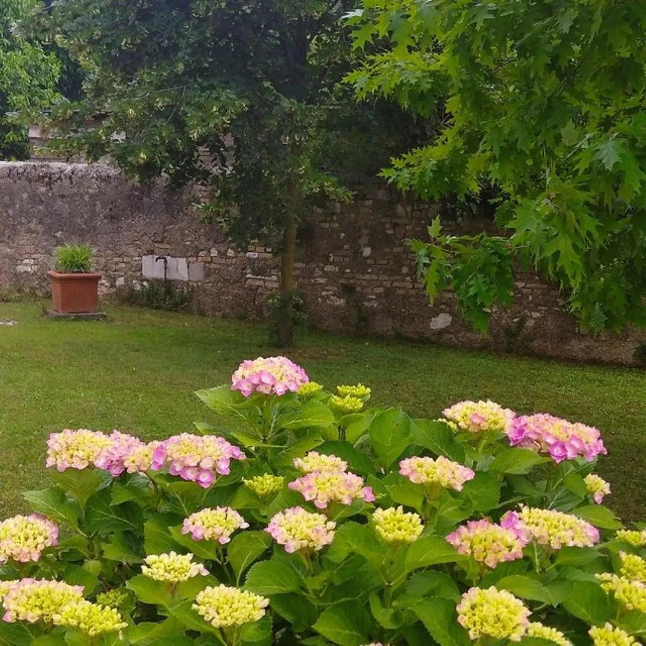 B&B Ernestine Family Home