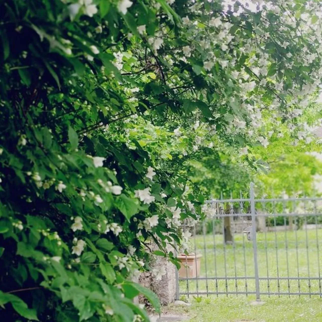 B&B Ernestine Family Home